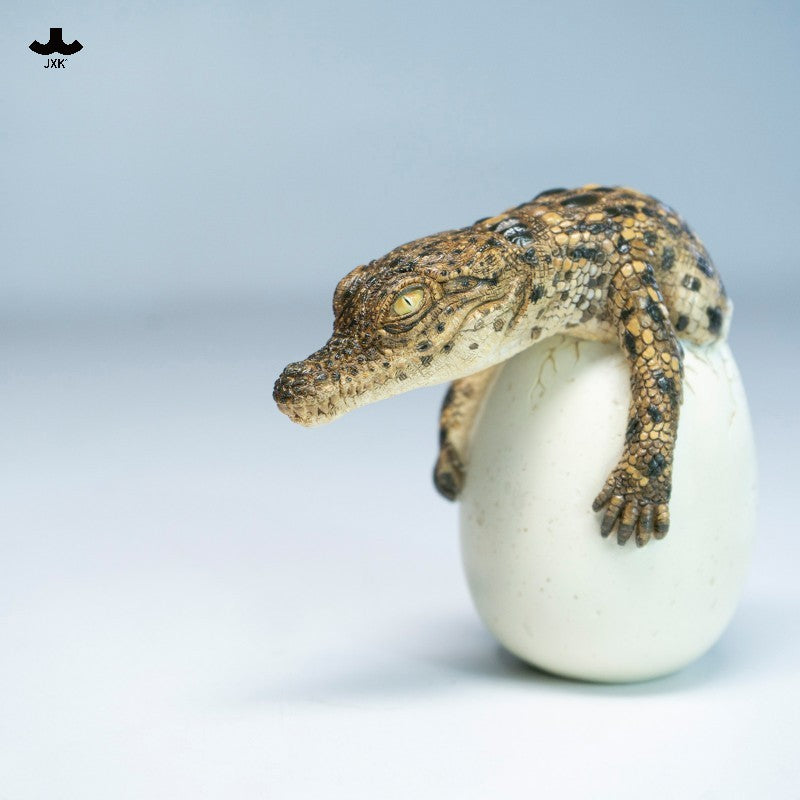 JXK Hatchling Crocodile Model