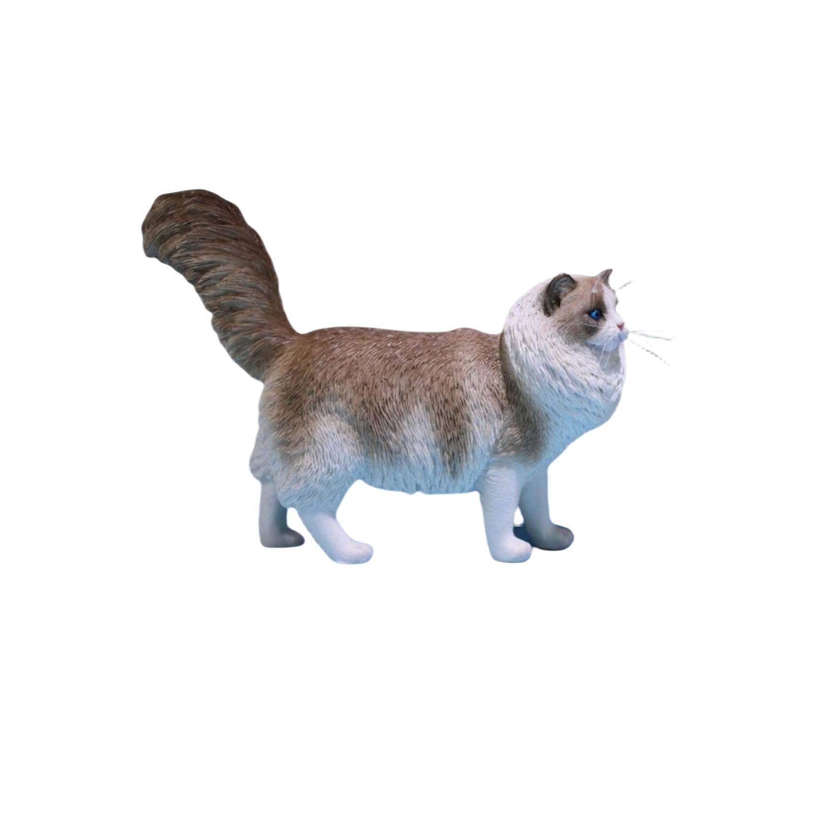 1/6 Ragdoll Figure