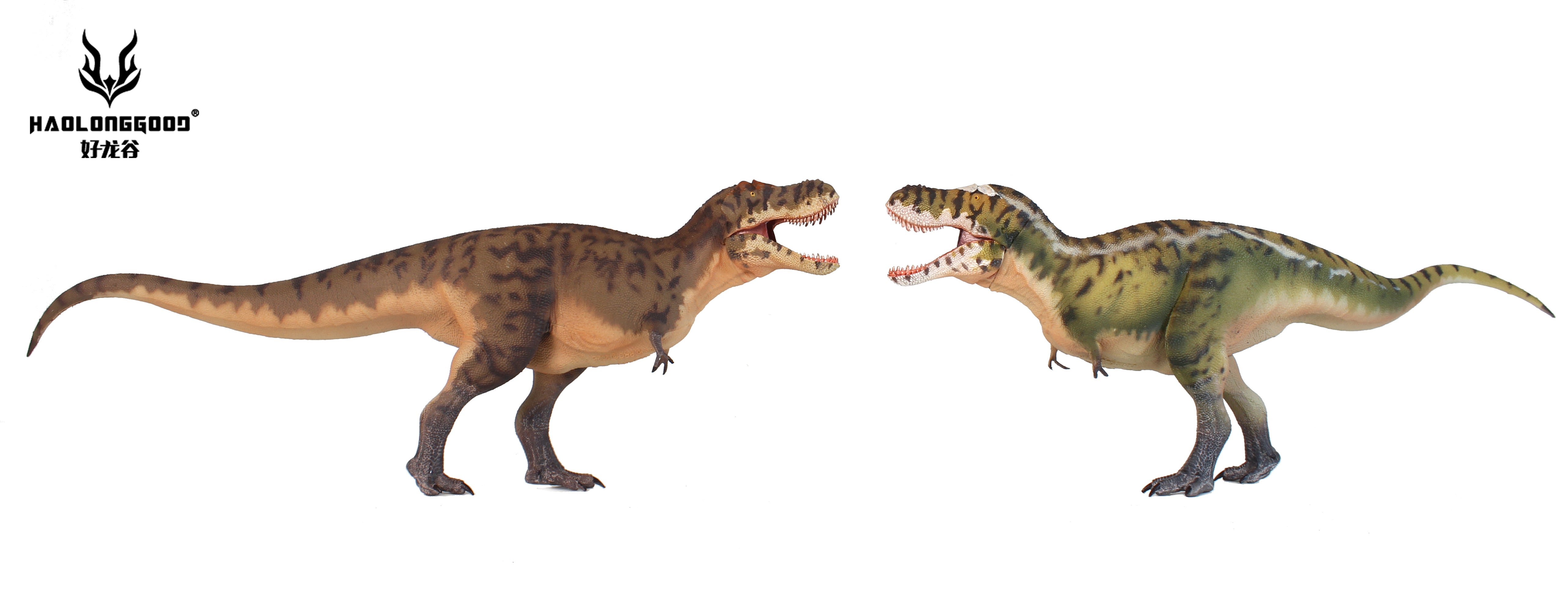 HAOLONGGOOD 1:35 Scale Tarbosaurus Model