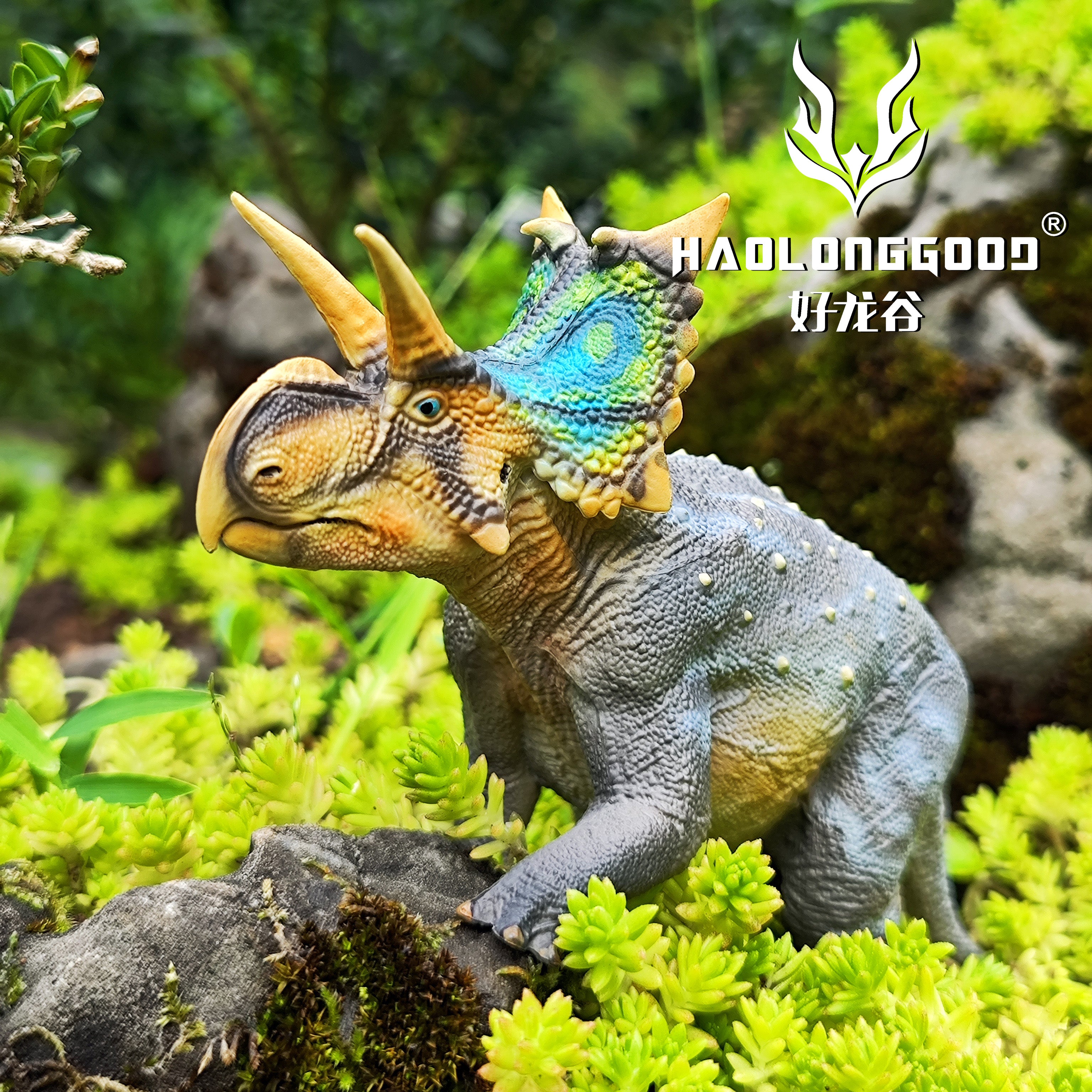 HAOLONGGOOD 1:35 Scale Xenoceratops Model