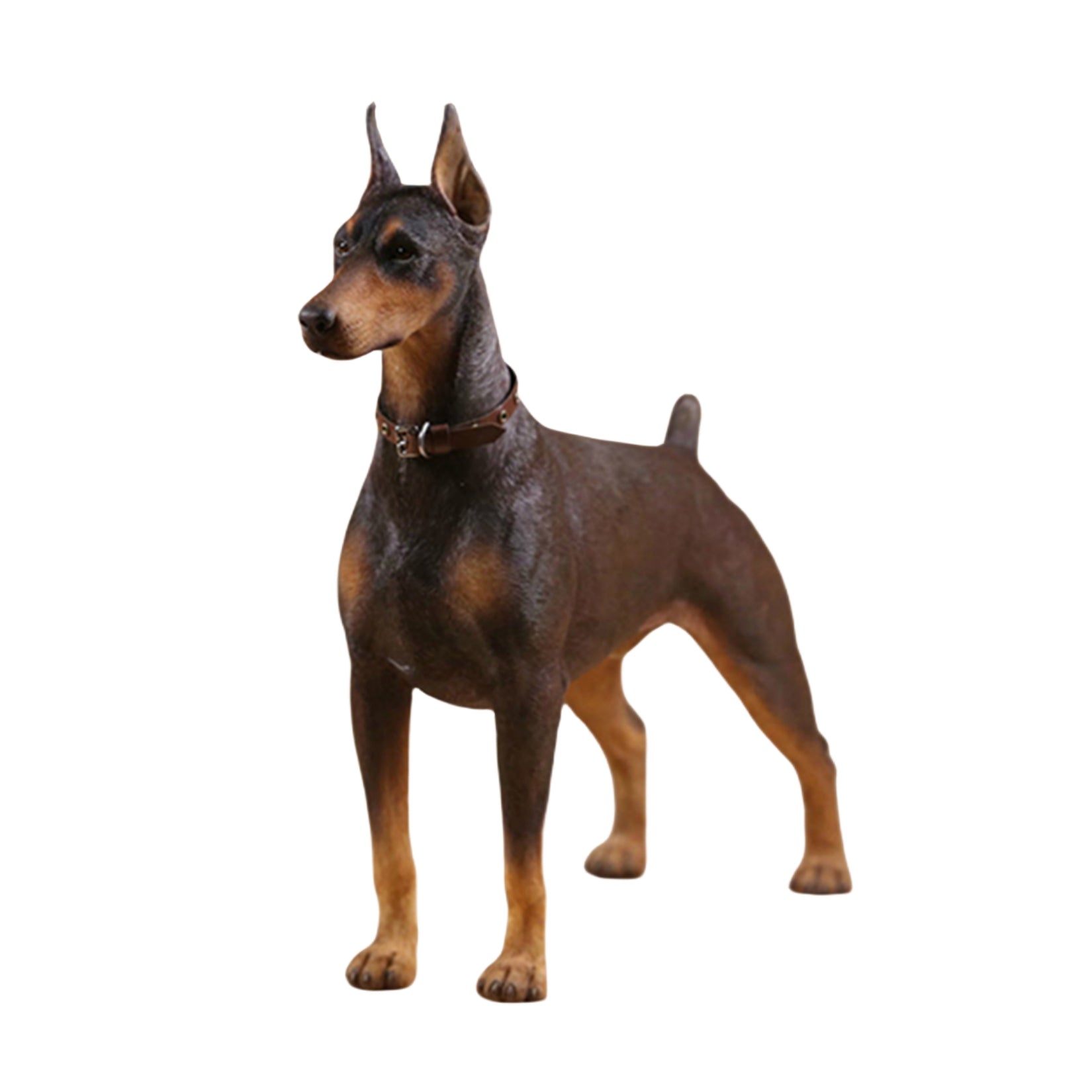 1/6 Dobermann Figure