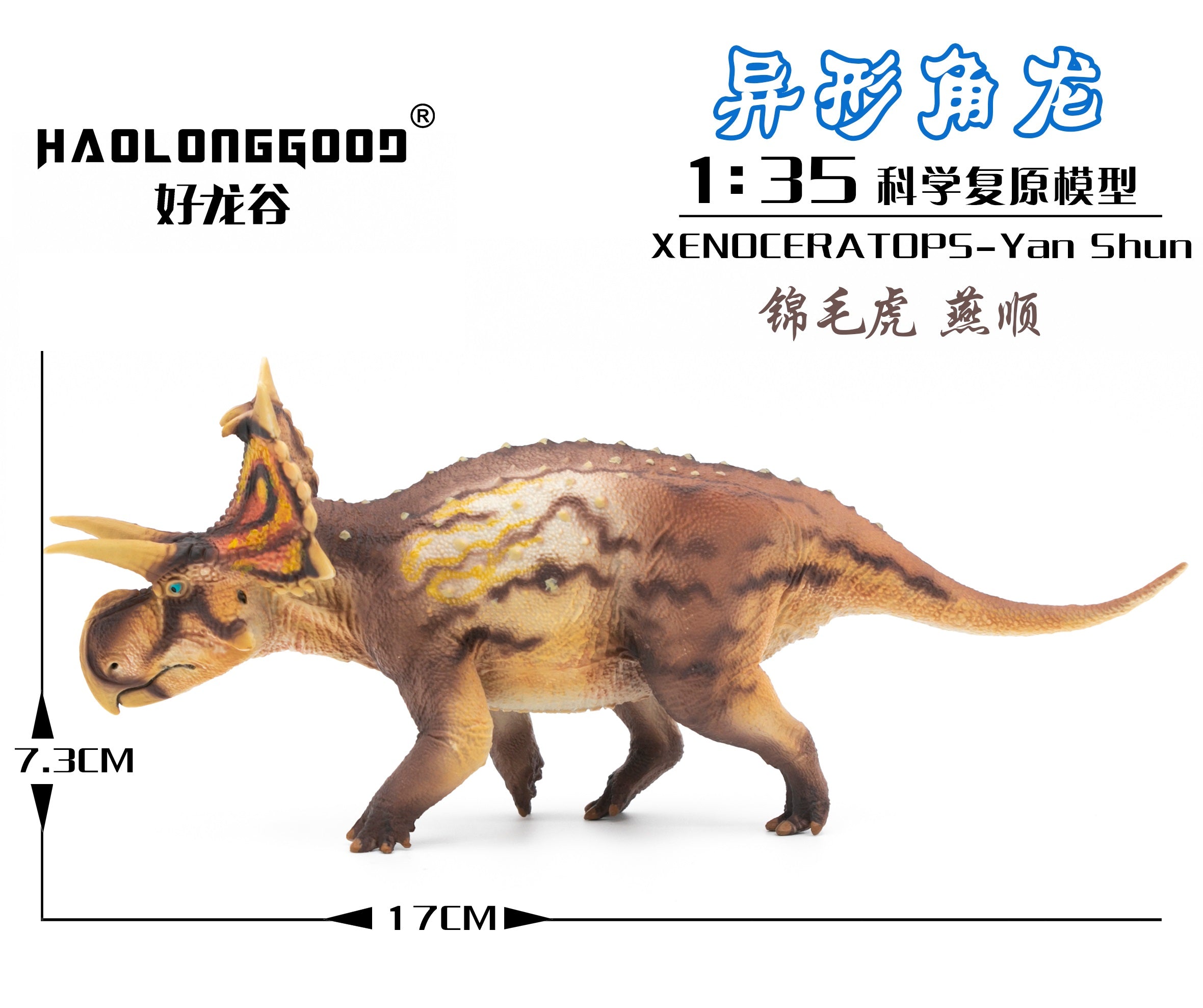 HAOLONGGOOD 1:35 Scale Xenoceratops Model