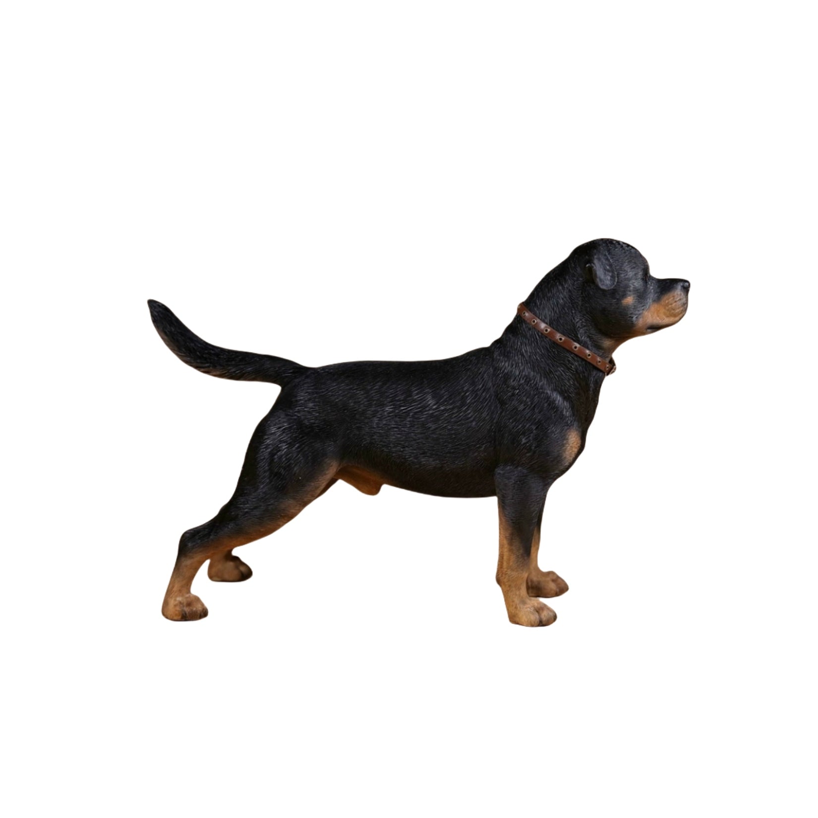 1/6 Rottweiler Loyal Dog Figure