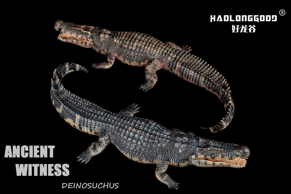 Modèle réduit de Giganotosaurus HAOLONGGOOD à l'échelle 1:35