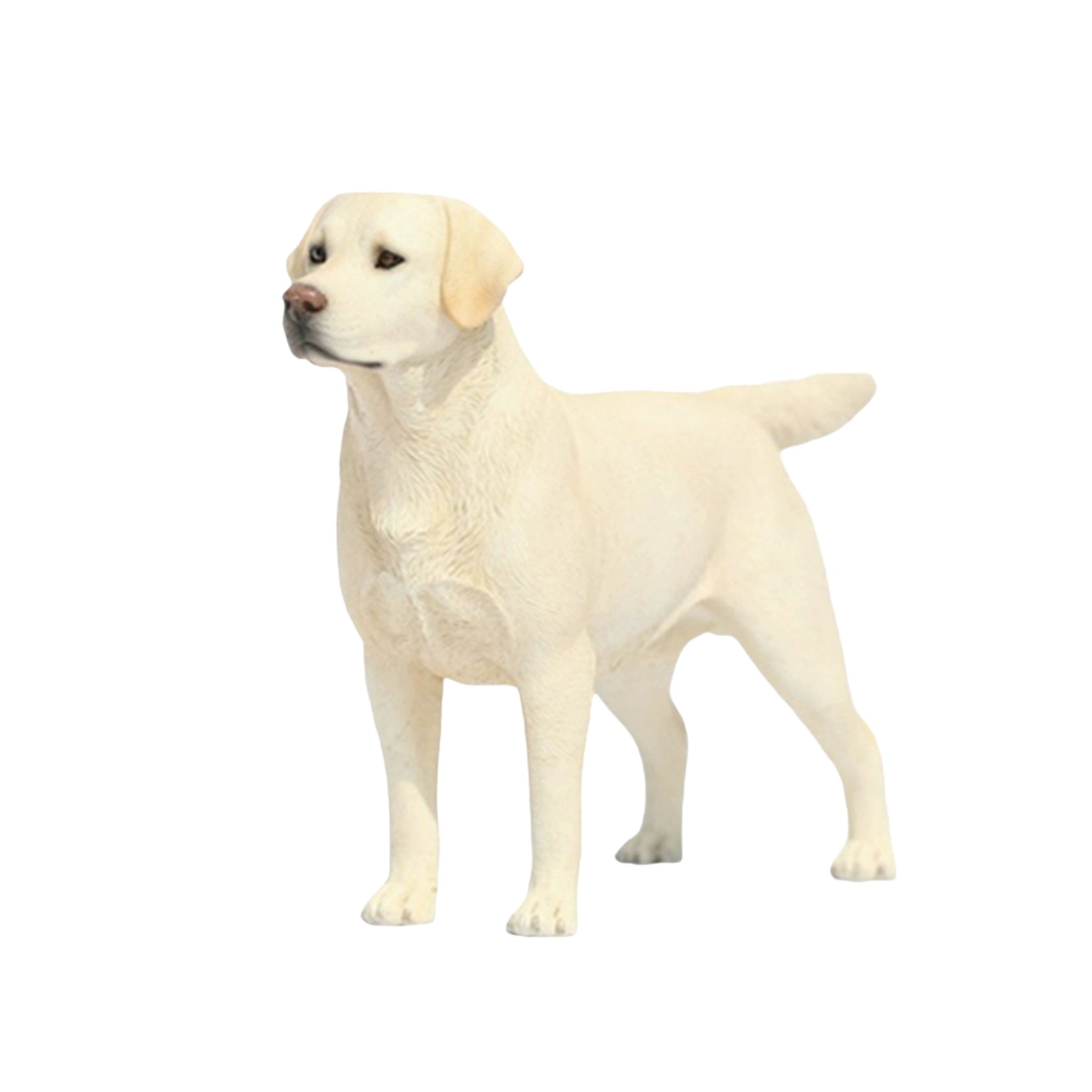 1/6 Labrador Retriever Figure
