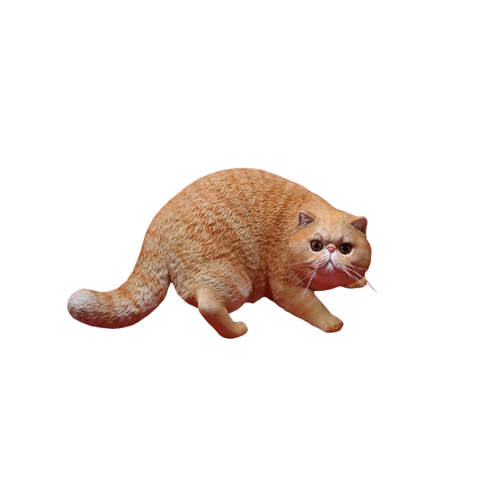 1/6 Exotic Shorthair Figure