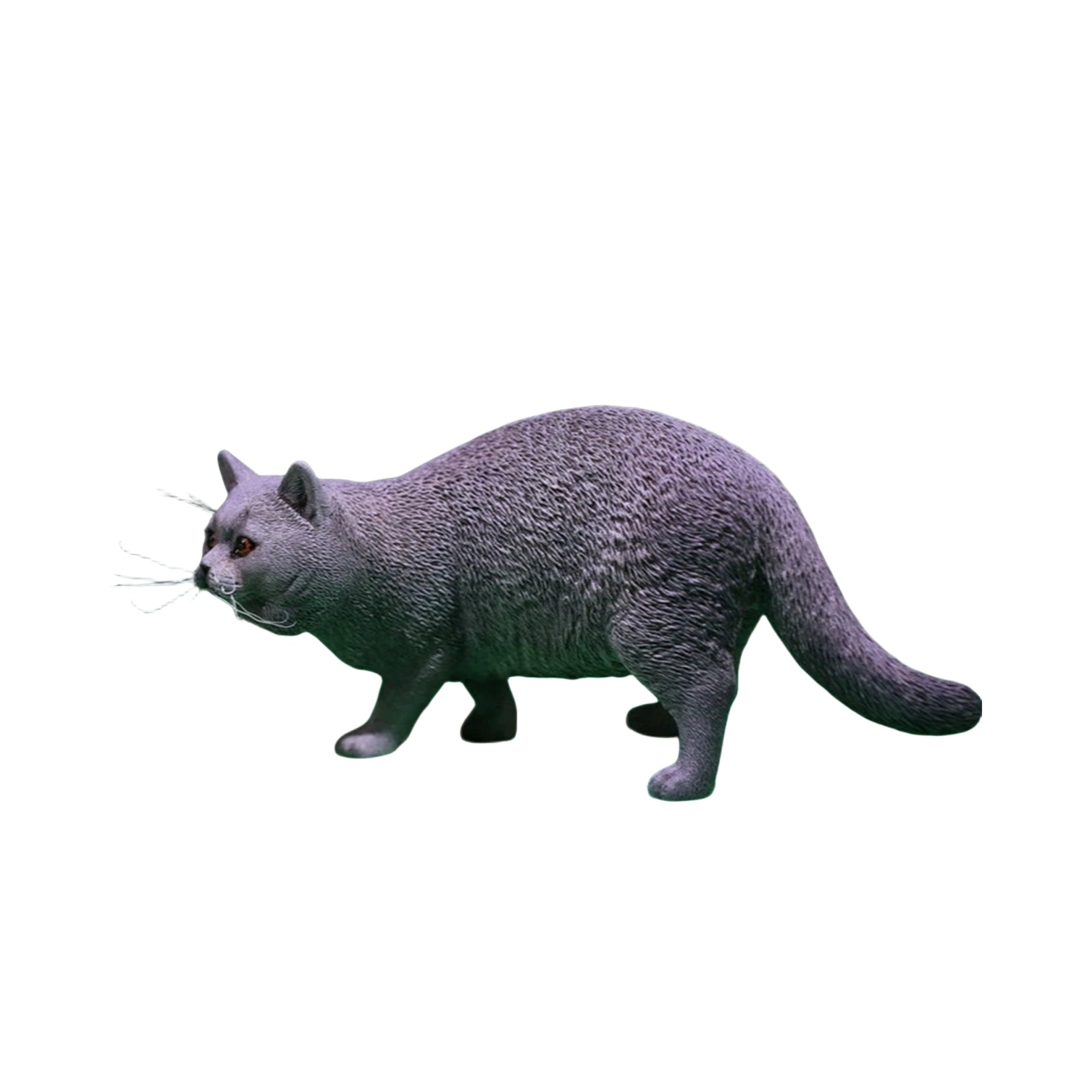 1/6 British Shorthair Figure