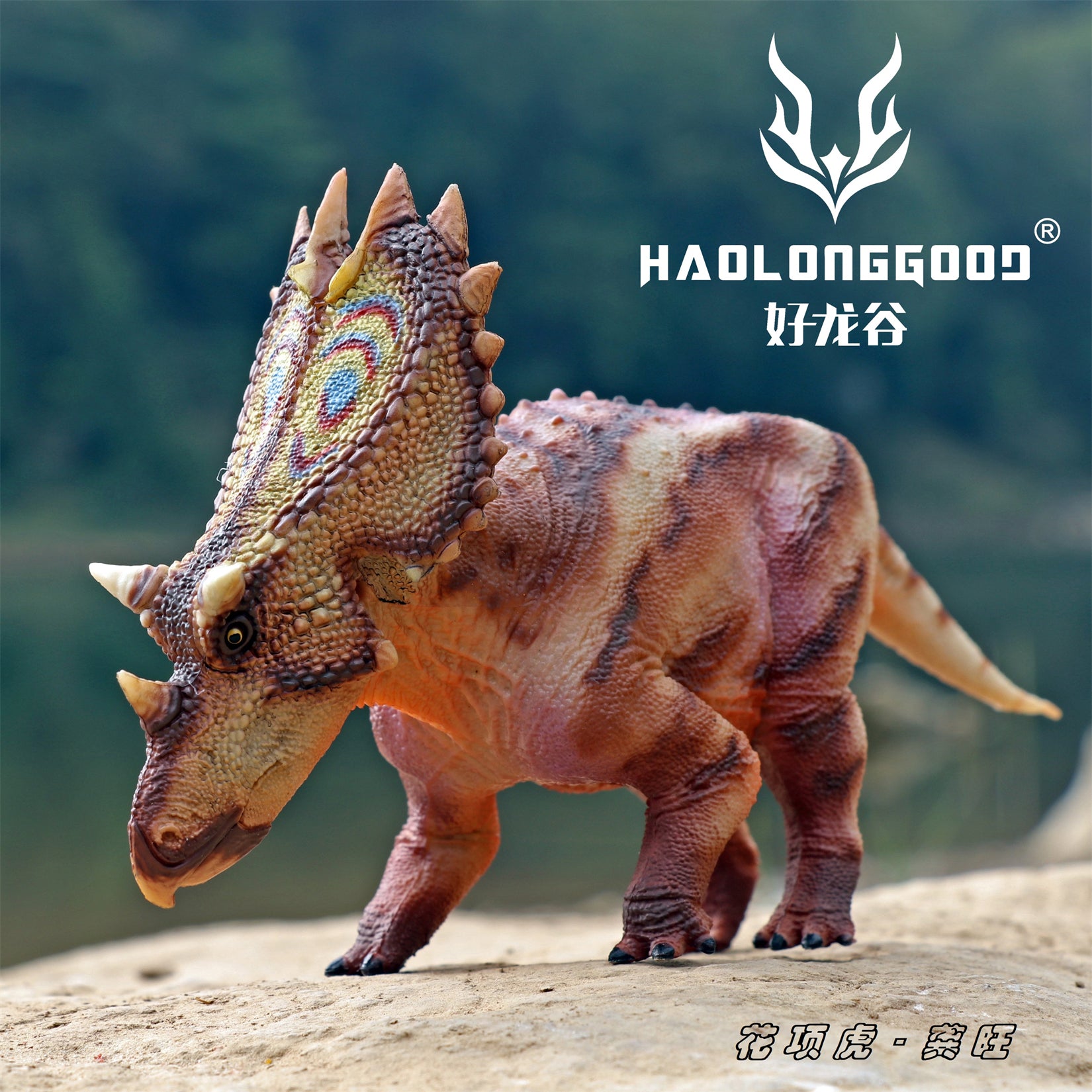 HAOLONGGOOD 1:35 Scale Utahceratops Model