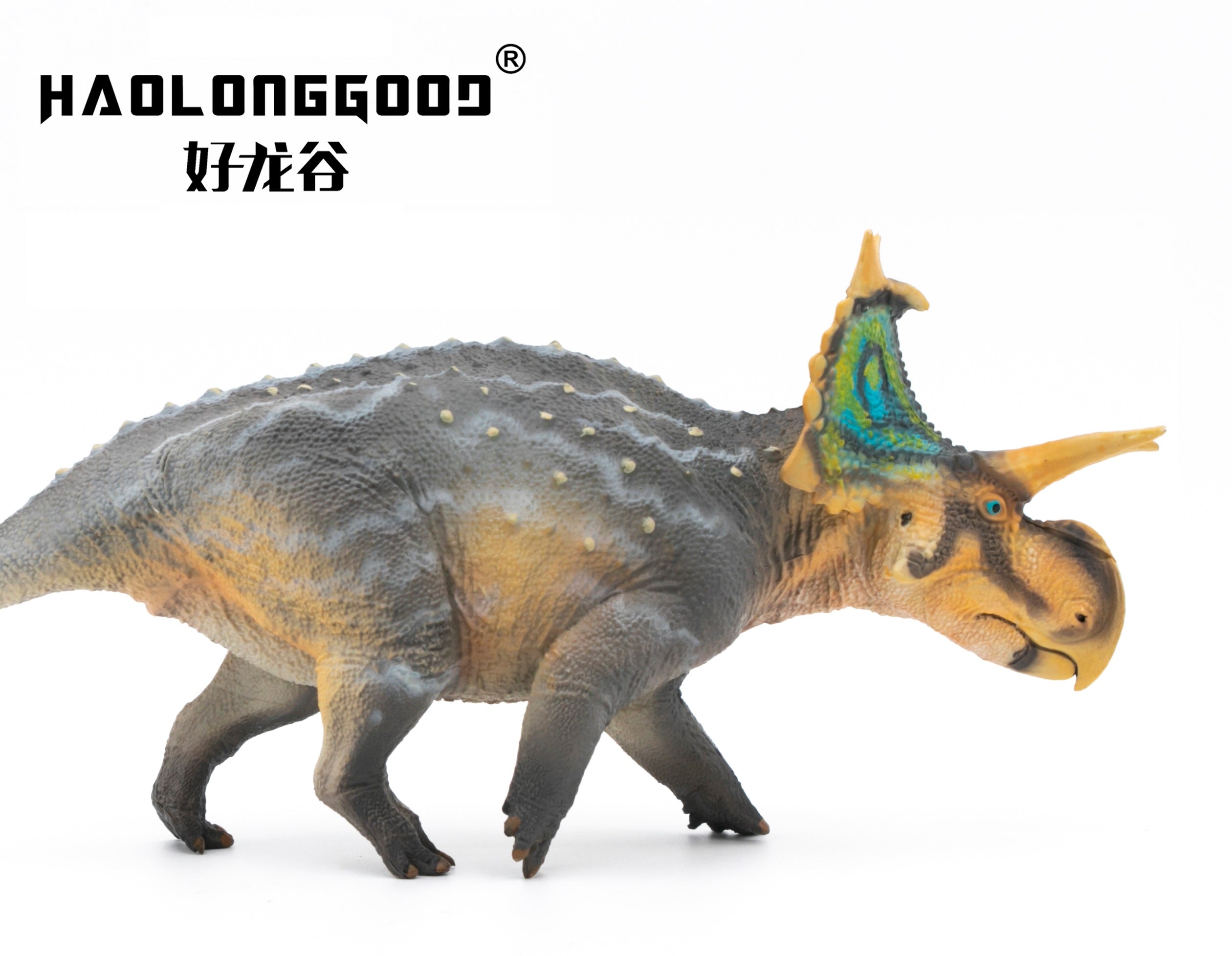 HAOLONGGOOD 1:35 Scale Xenoceratops Model