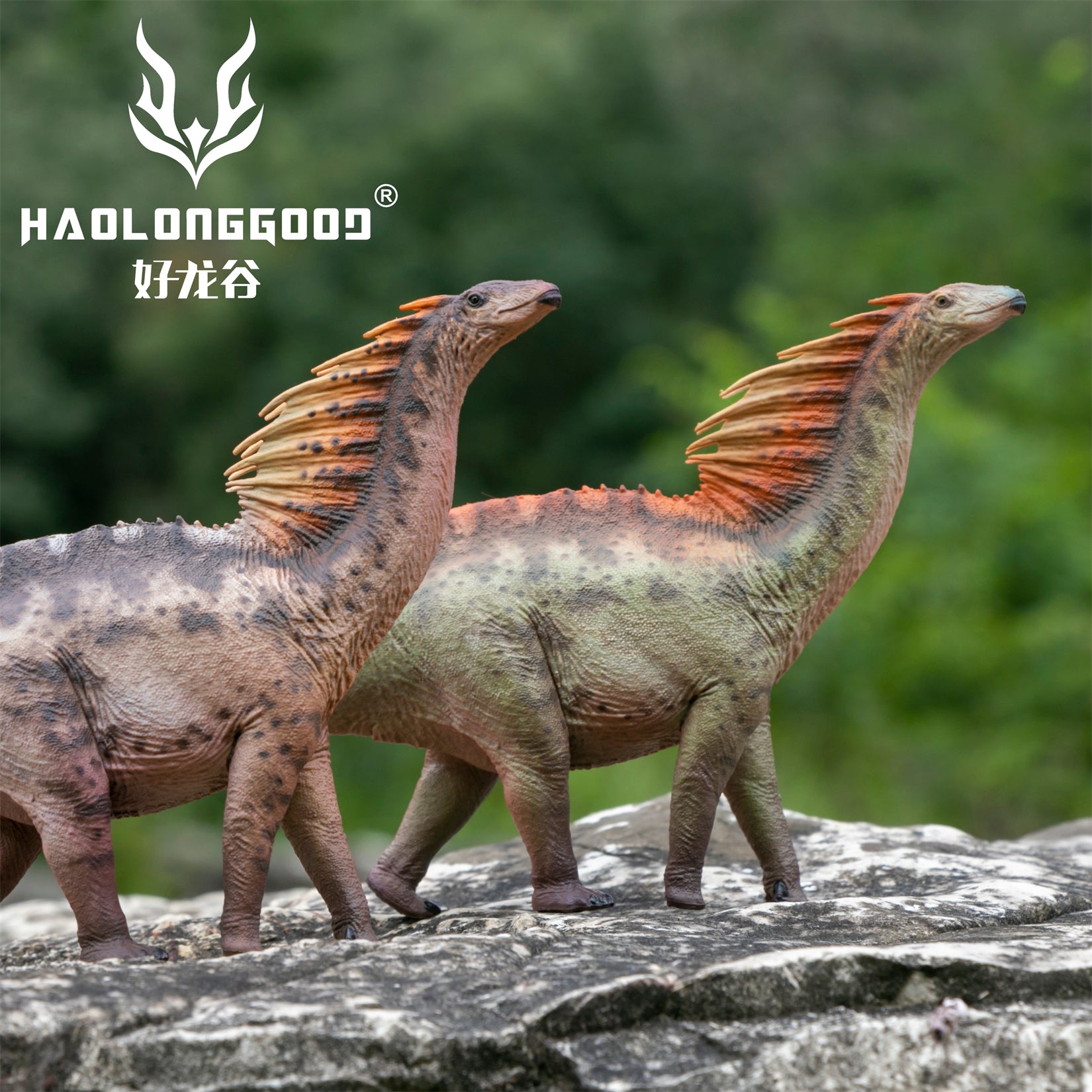 HAOLONGGOOD 1:35 Scale Amargasaurus Model