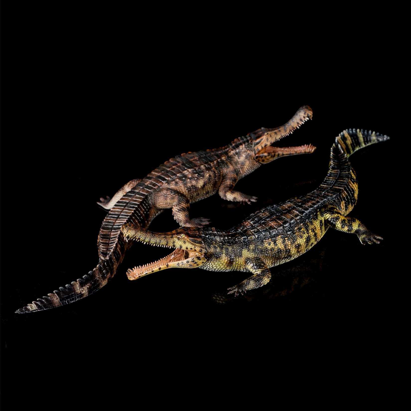 HAOLONGGOOD 1:35 Scale Sarcosuchus imperator Model