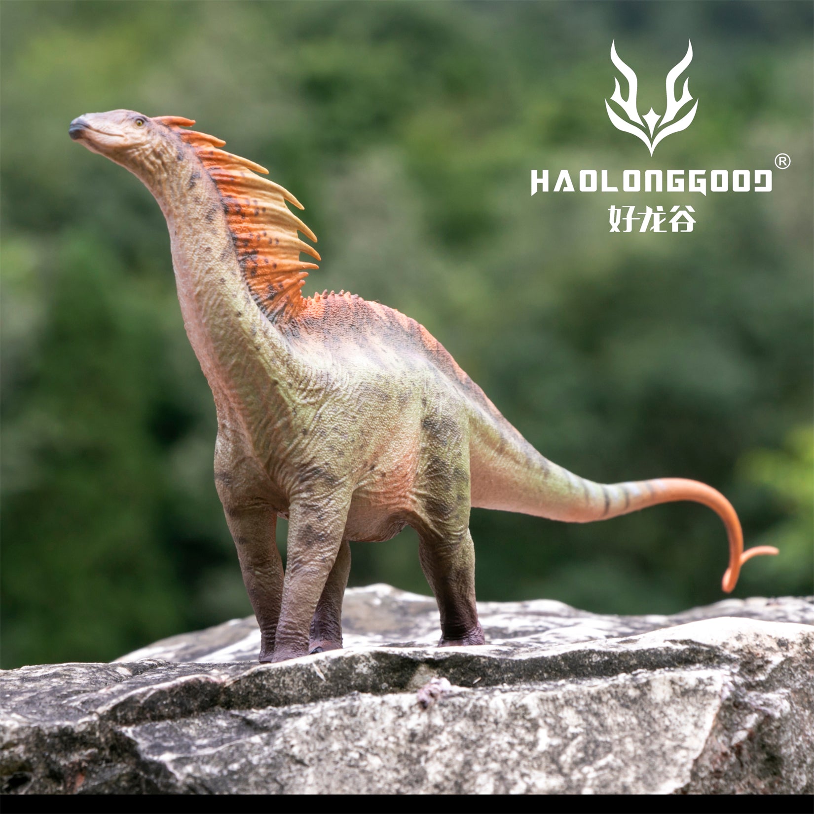 HAOLONGGOOD 1:35 Scale Amargasaurus Model