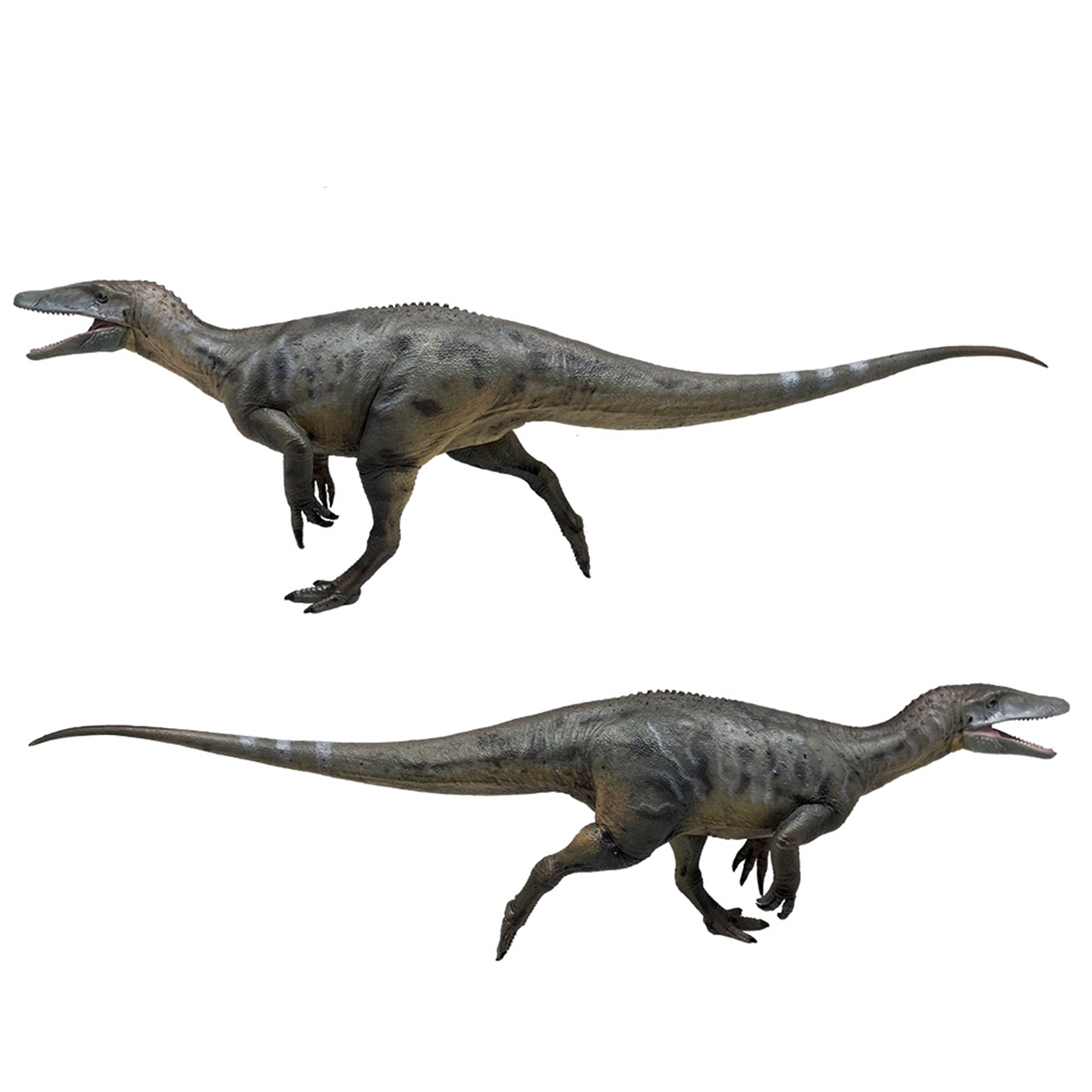 HAOLONGGOOD 1:35 Scale Megaraptor Model