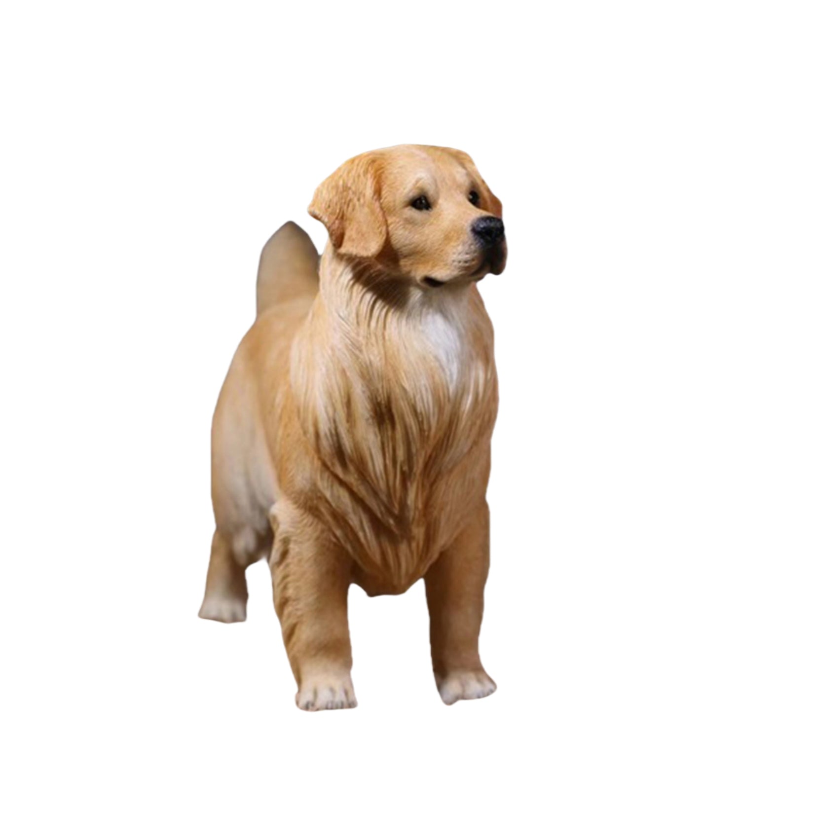 1/6 Golden Retriever Figure
