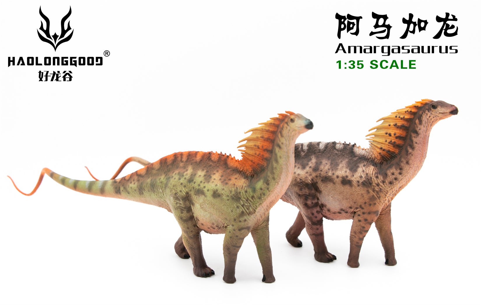 HAOLONGGOOD 1:35 Scale Amargasaurus Model