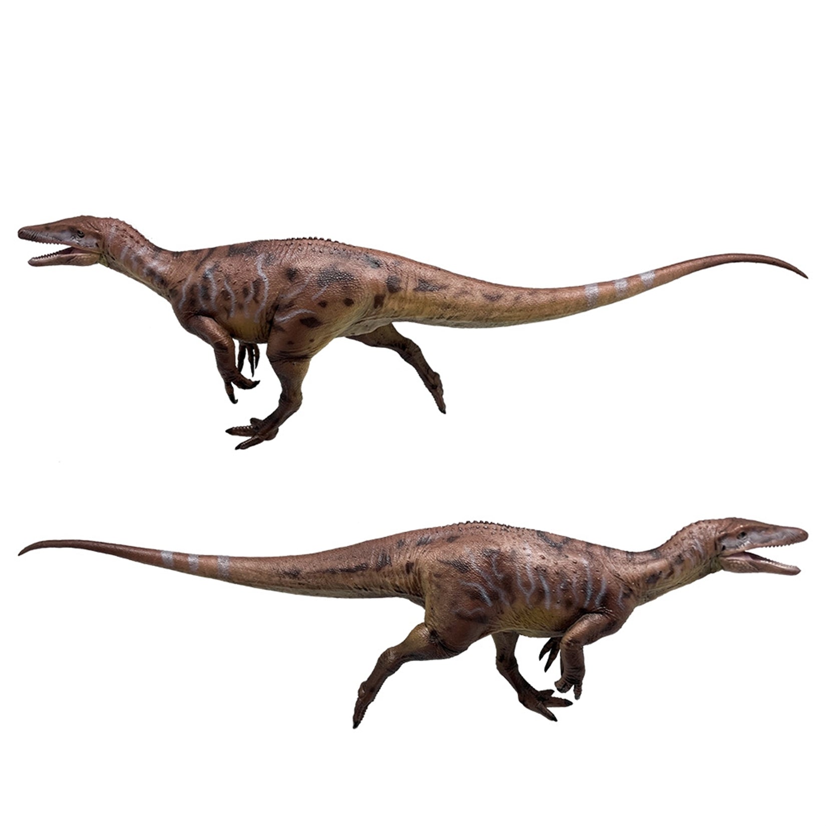 HAOLONGGOOD 1:35 Scale Megaraptor Model