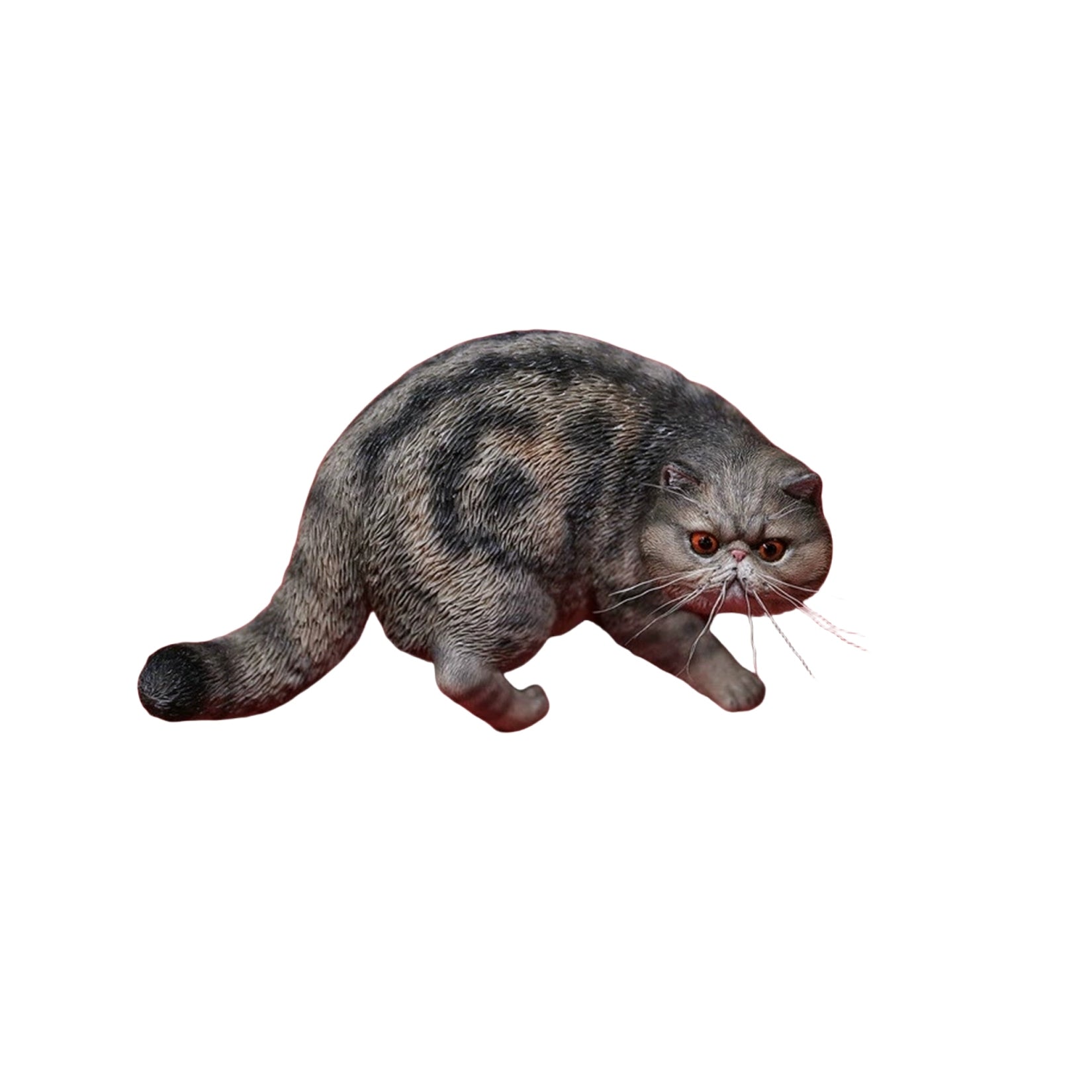1/6 Exotic Shorthair Figure