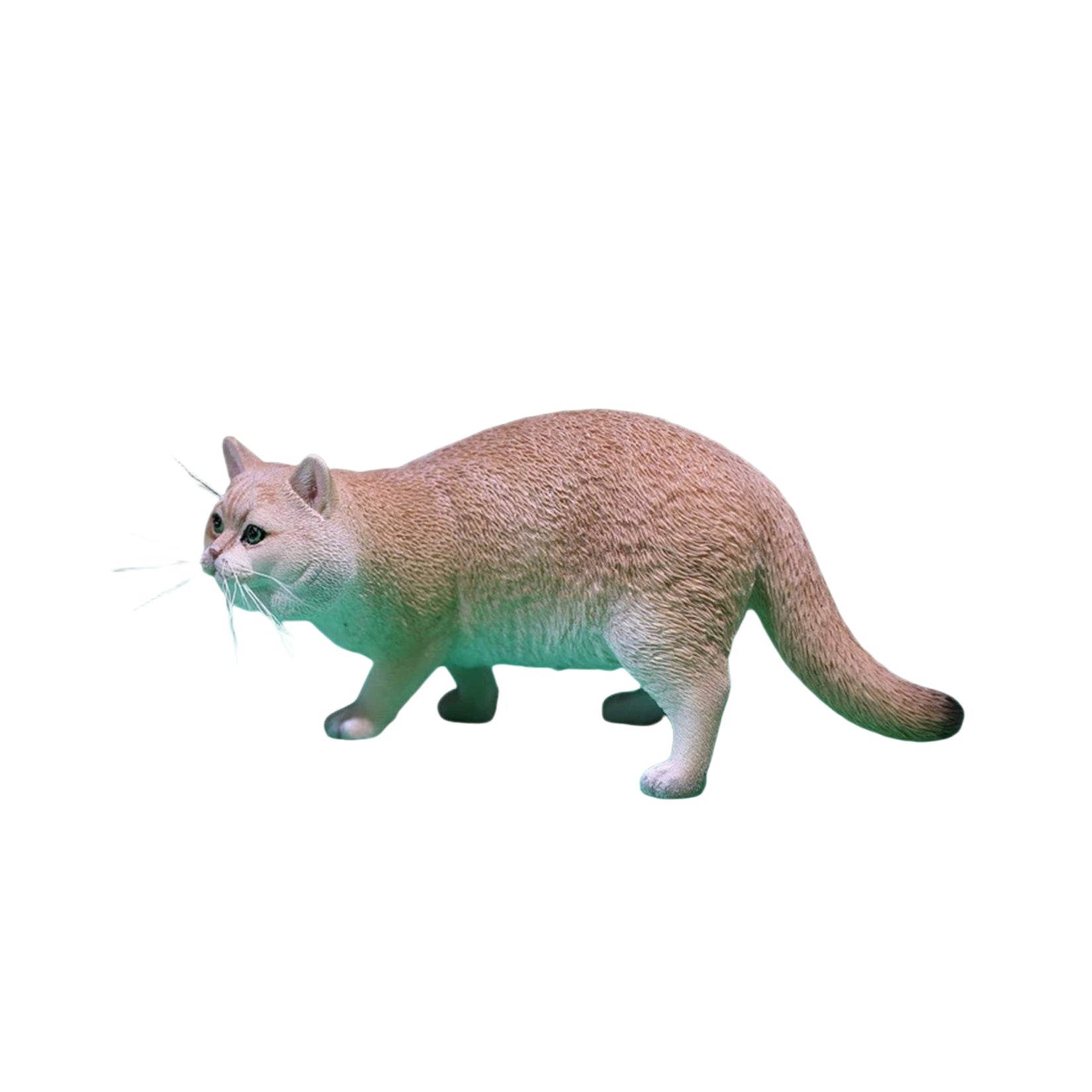 1/6 British Shorthair Figure