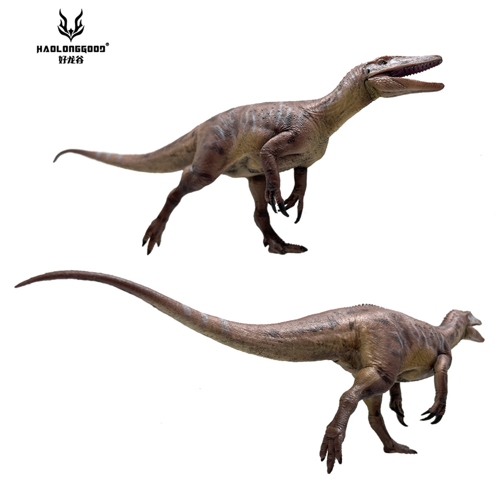 HAOLONGGOOD 1:35 Scale Megaraptor Model