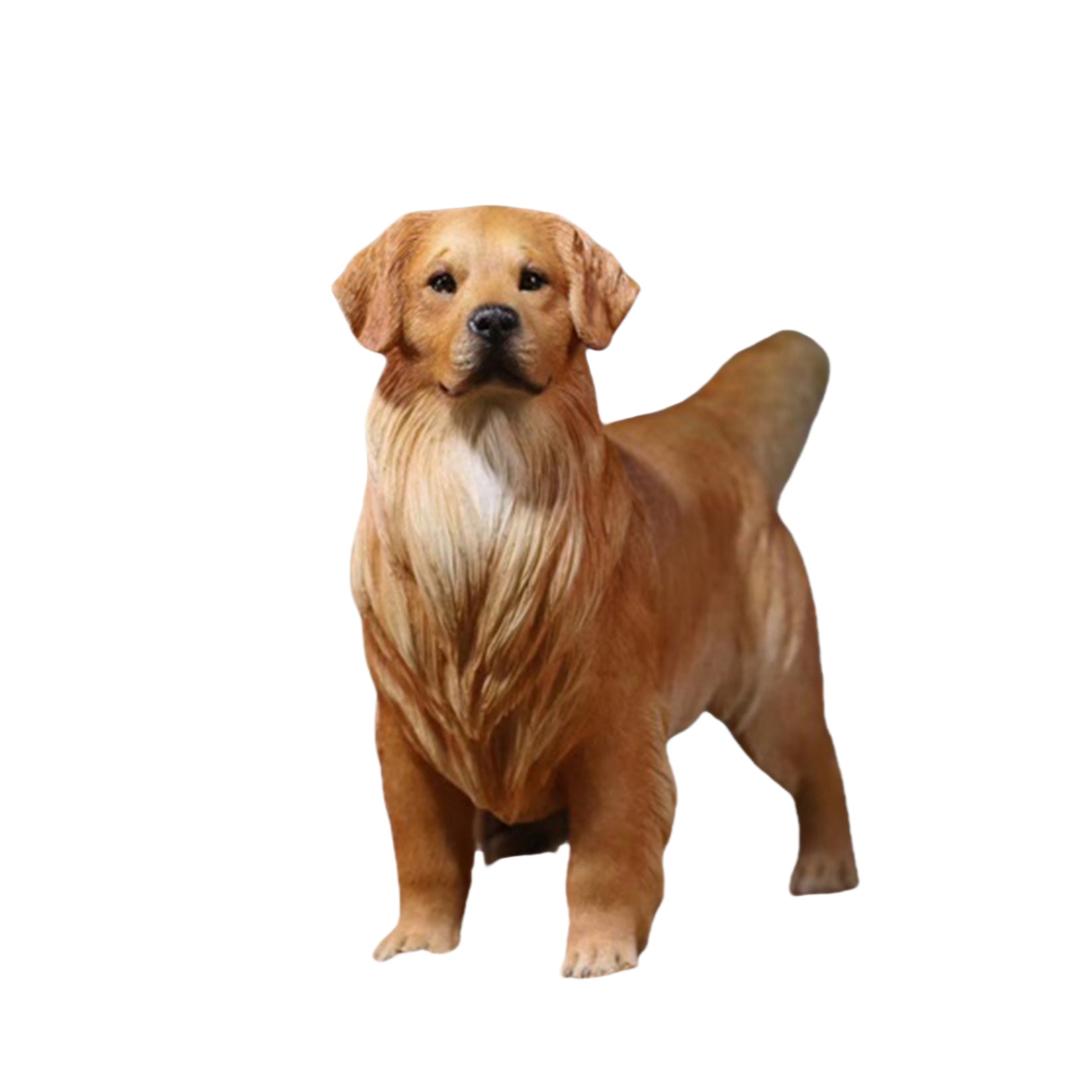 1/6 Golden Retriever Figure