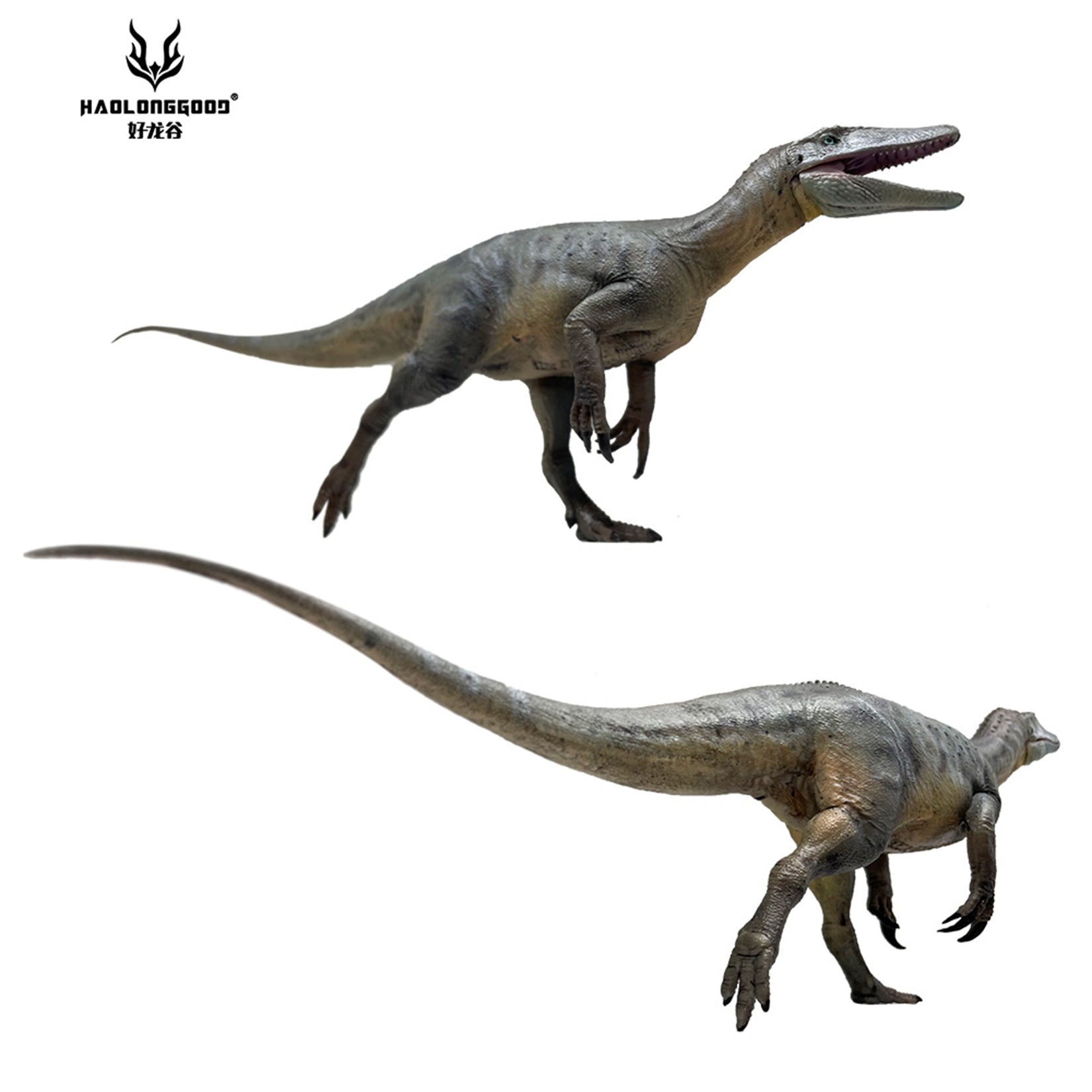 HAOLONGGOOD 1:35 Scale Megaraptor Model