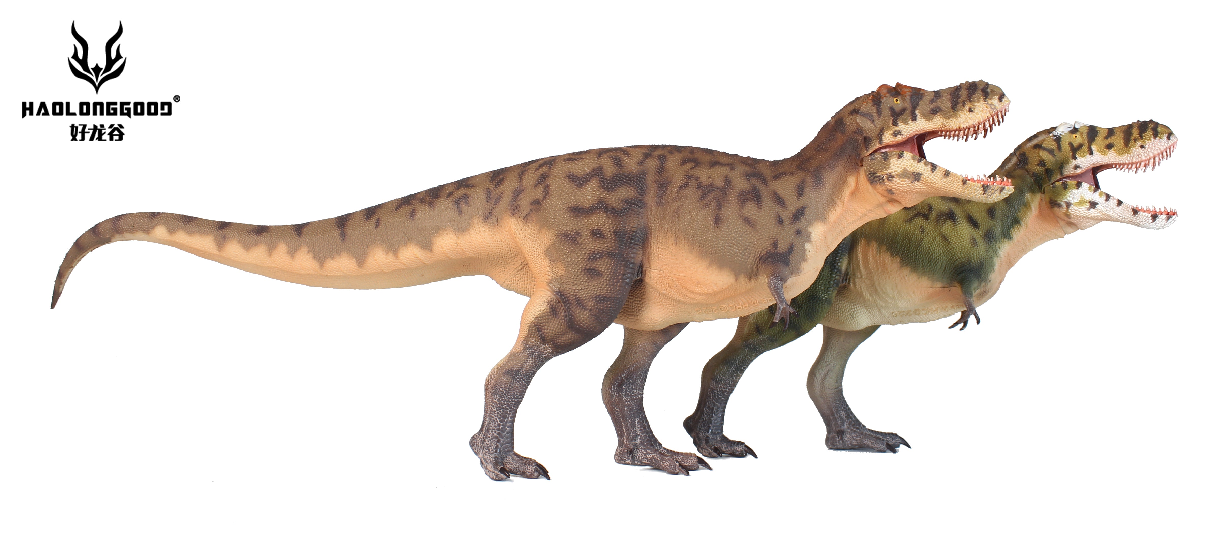 HAOLONGGOOD 1:35 Scale Tarbosaurus Model