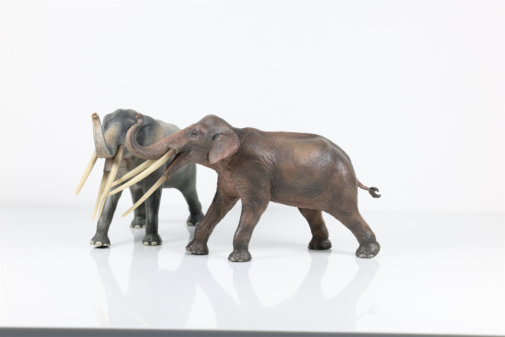 HAOLONGGOOD 1:35 Scale Stegotetrabelodon Model