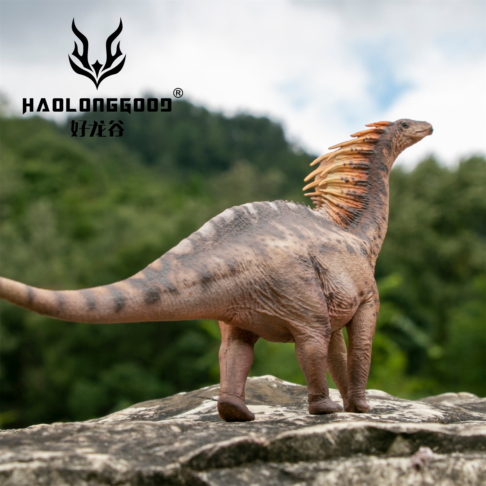 HAOLONGGOOD 1:35 Scale Amargasaurus Model