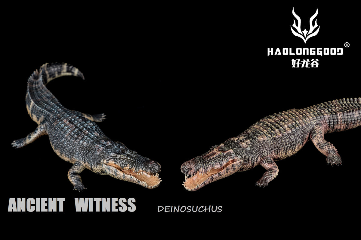 Modèle réduit de Giganotosaurus HAOLONGGOOD à l'échelle 1:35