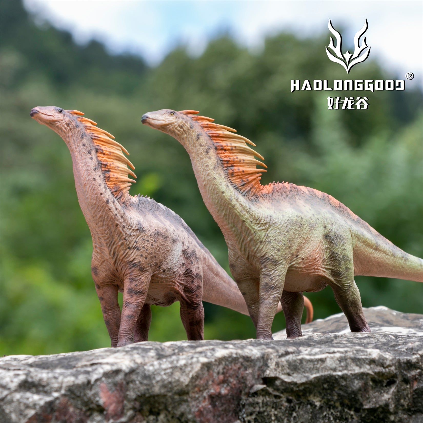 HAOLONGGOOD 1:35 Scale Amargasaurus Model