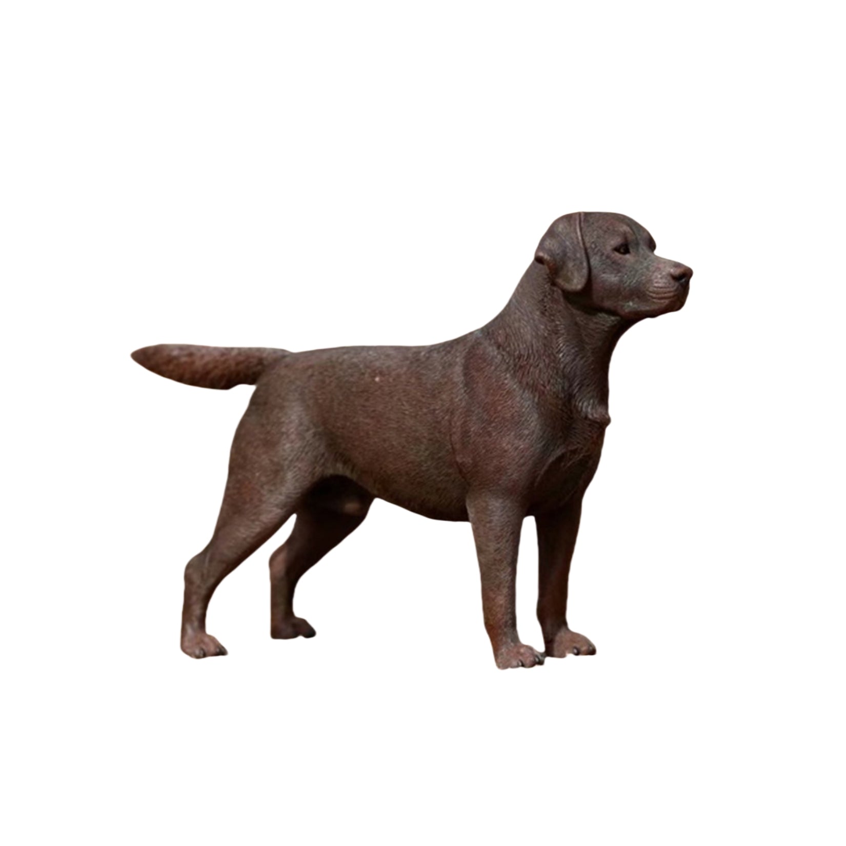 1/6 Labrador Retriever Figure