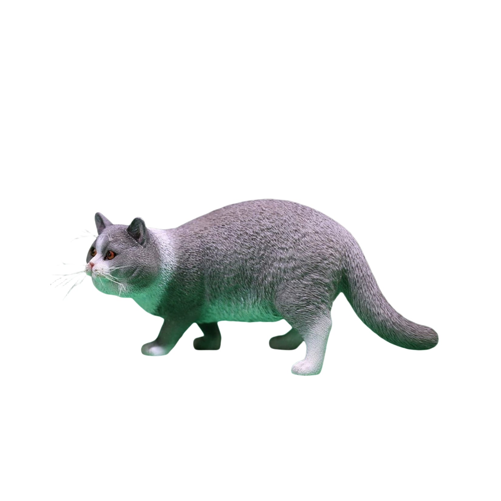 1/6 British Shorthair Figure