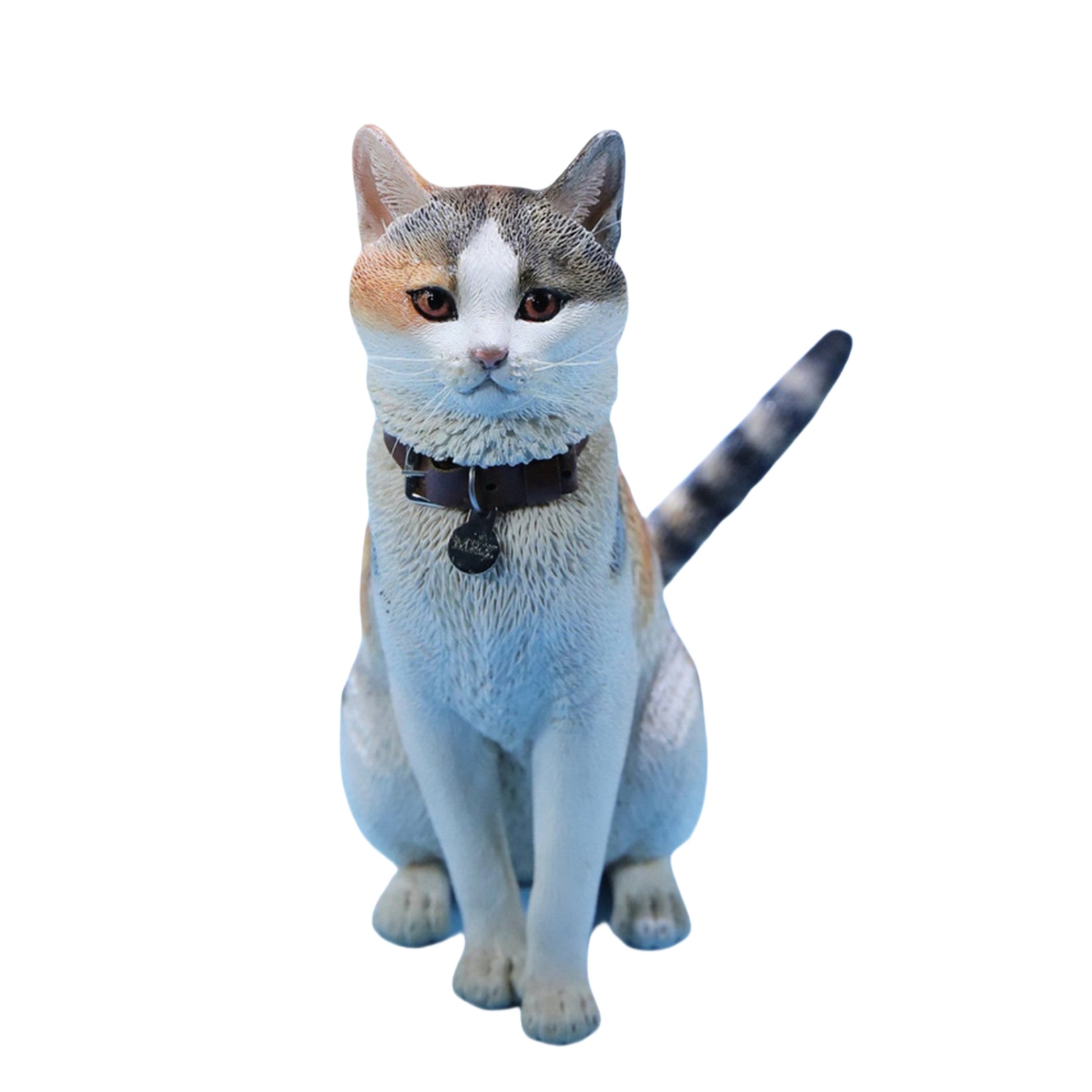 1/6 Domestic Cat Figure