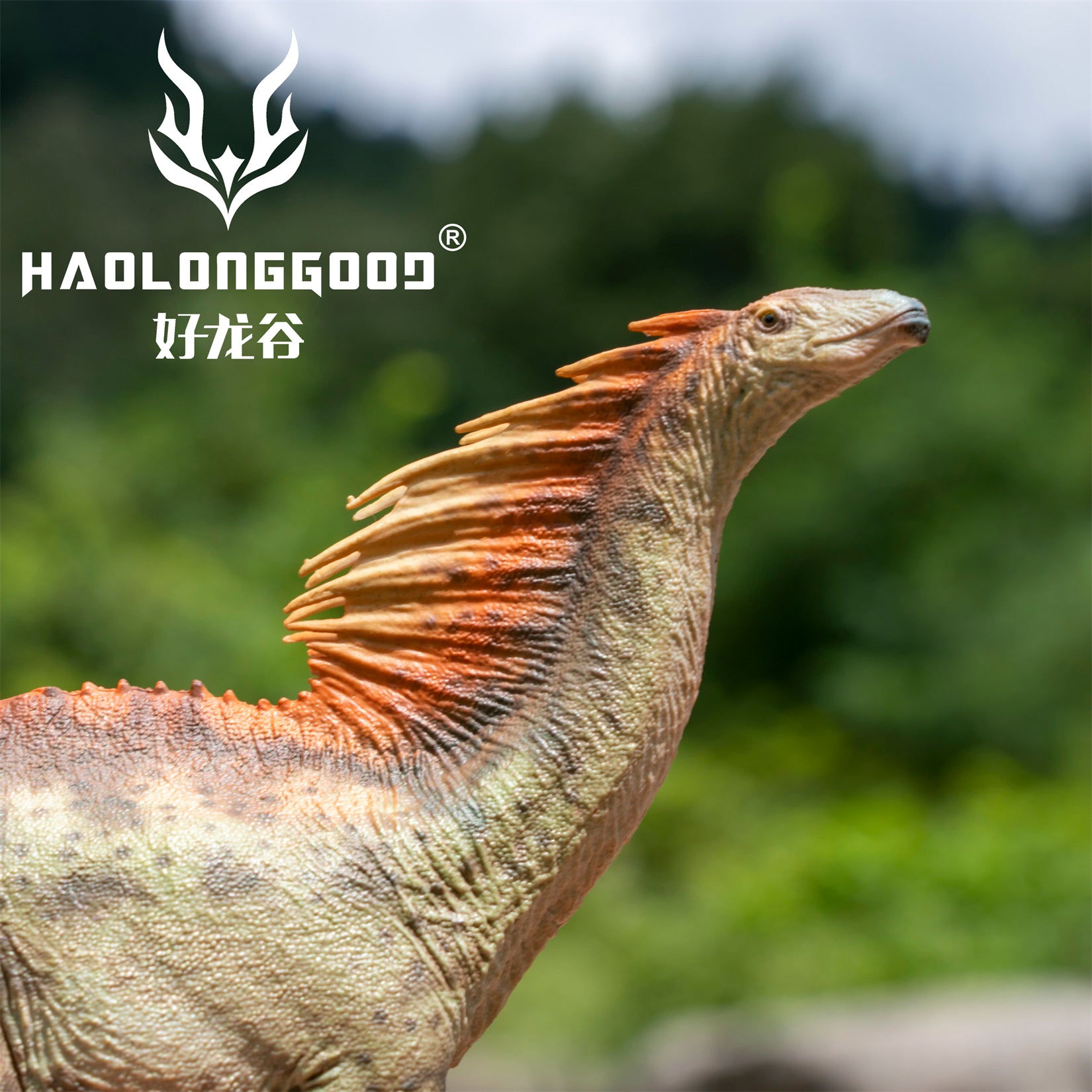 HAOLONGGOOD 1:35 Scale Amargasaurus Model