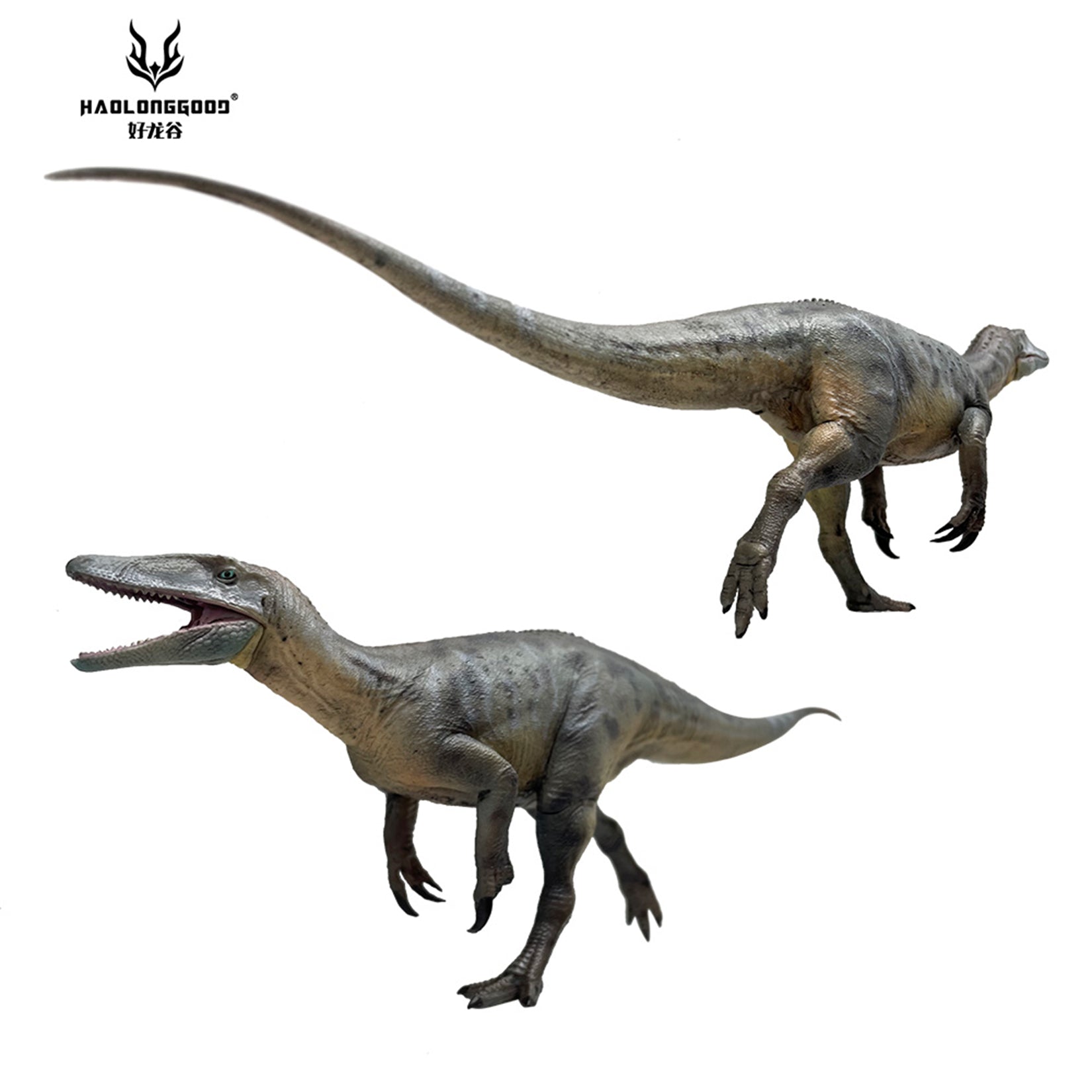 HAOLONGGOOD 1:35 Scale Megaraptor Model