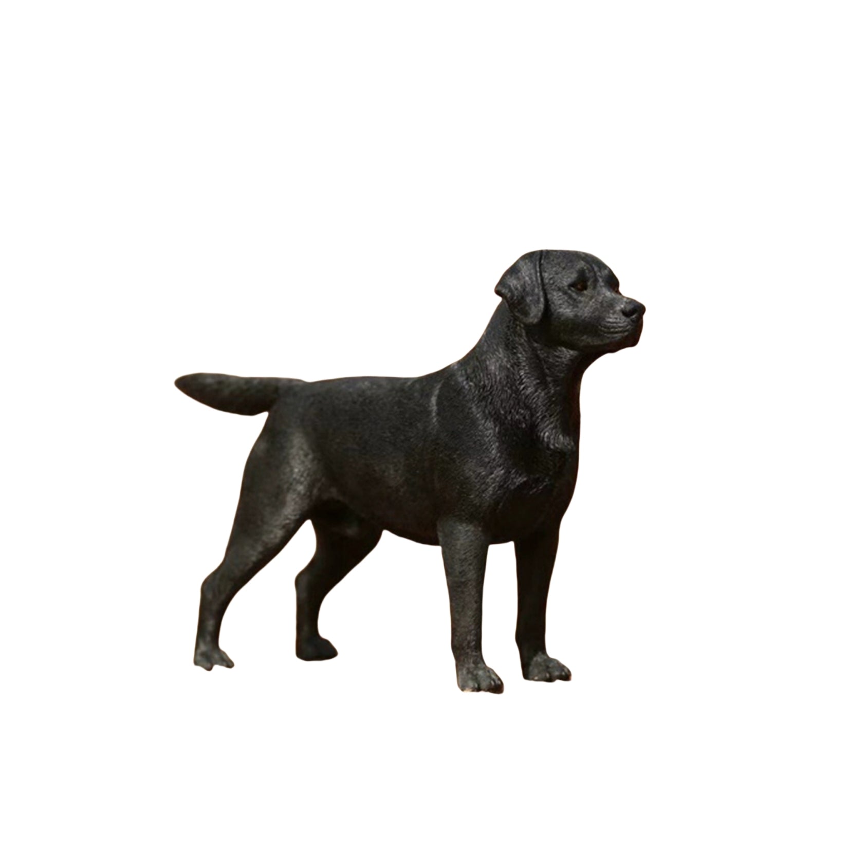 1/6 Labrador Retriever Figure
