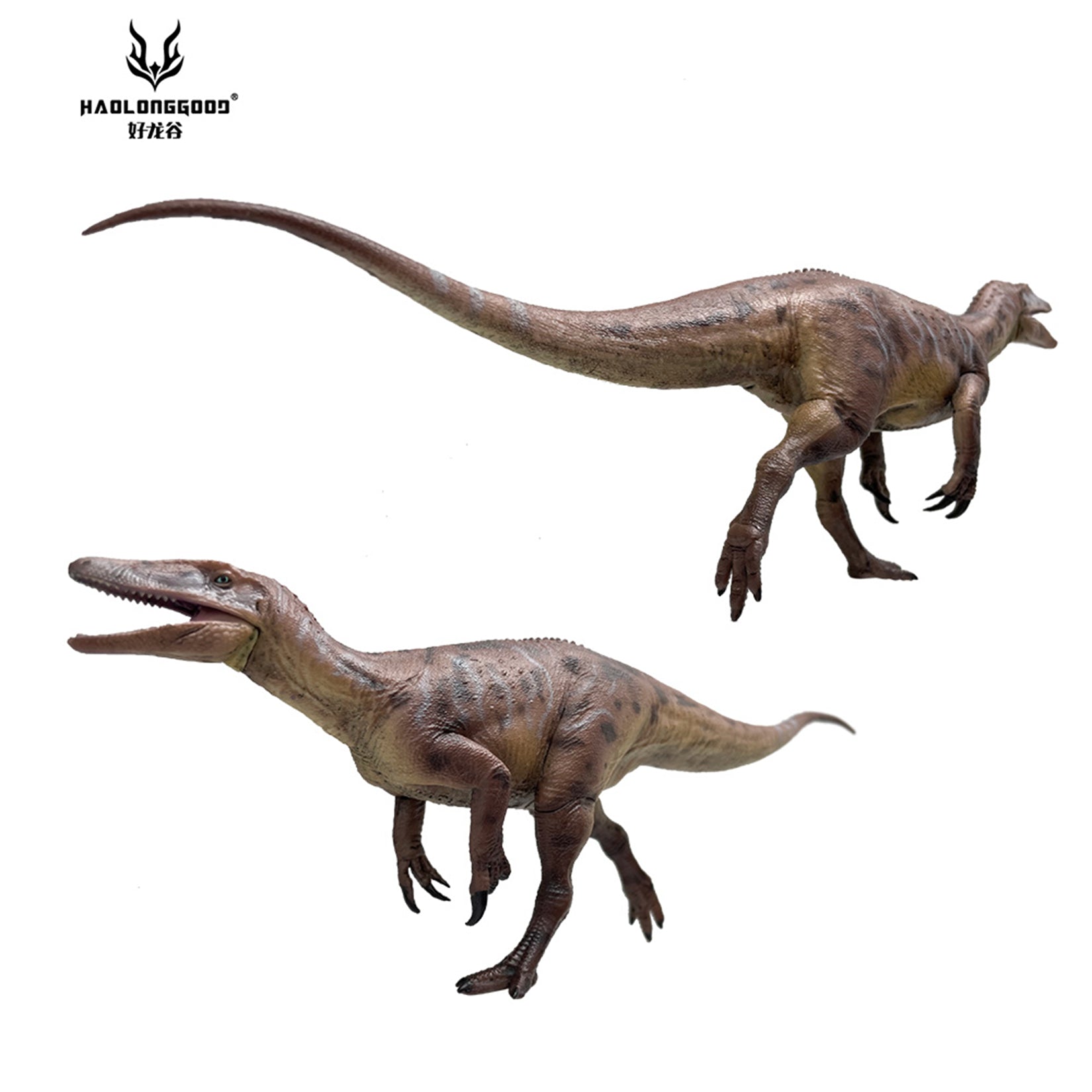 HAOLONGGOOD 1:35 Scale Megaraptor Model