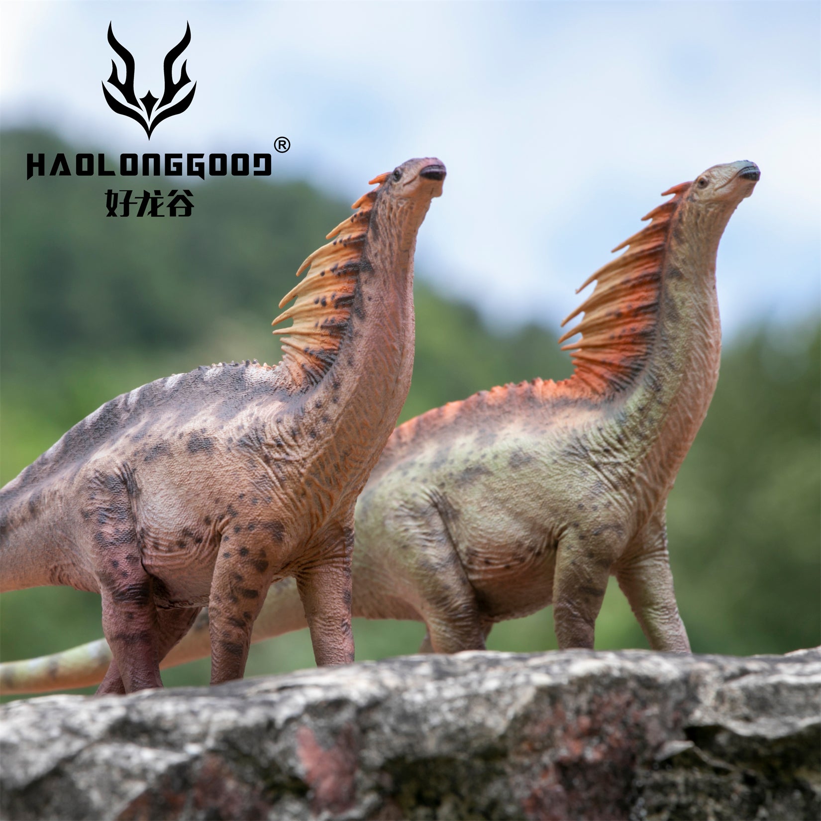HAOLONGGOOD 1:35 Scale Amargasaurus Model