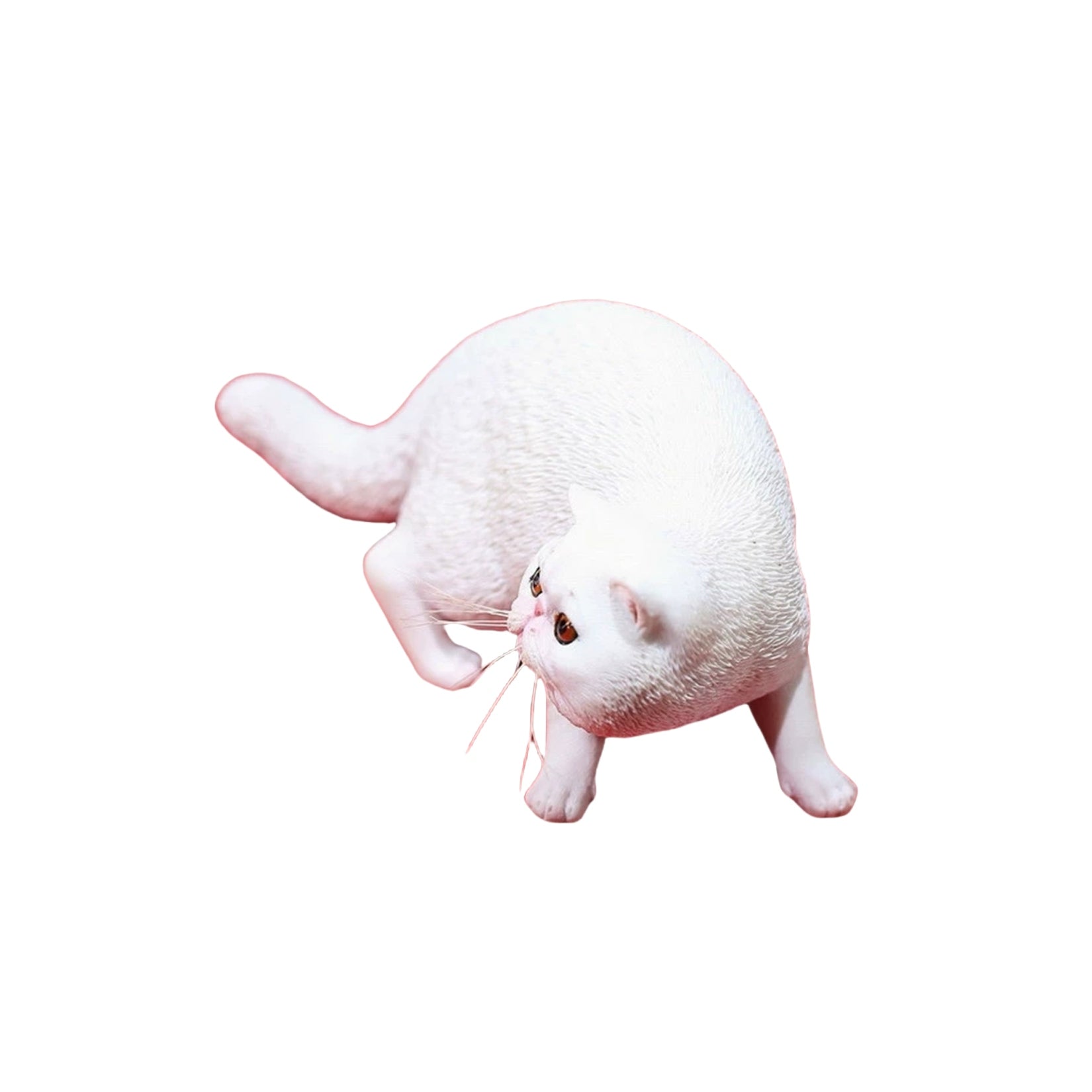 1/6 Exotic Shorthair Figure