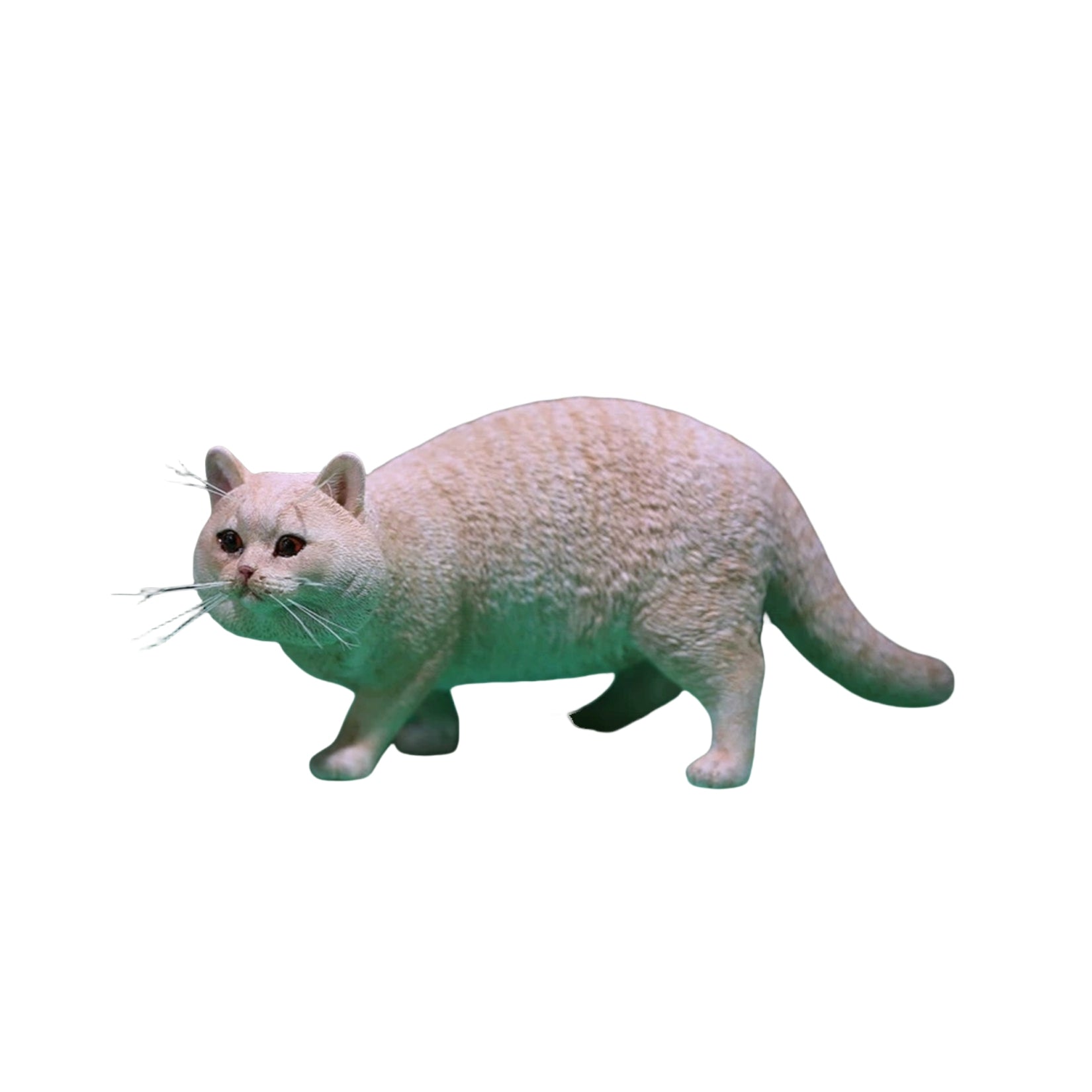 1/6 British Shorthair Figure