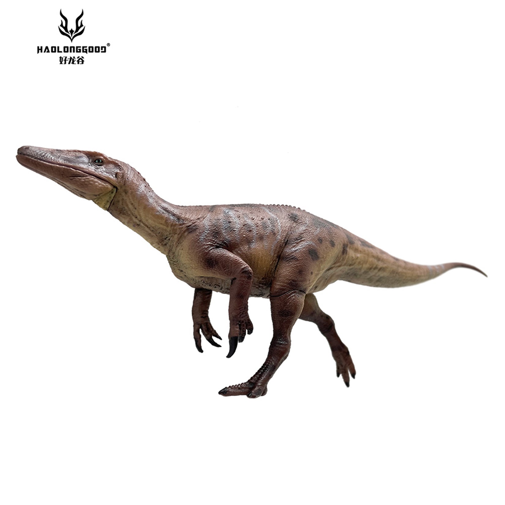 HAOLONGGOOD 1:35 Scale Megaraptor Model