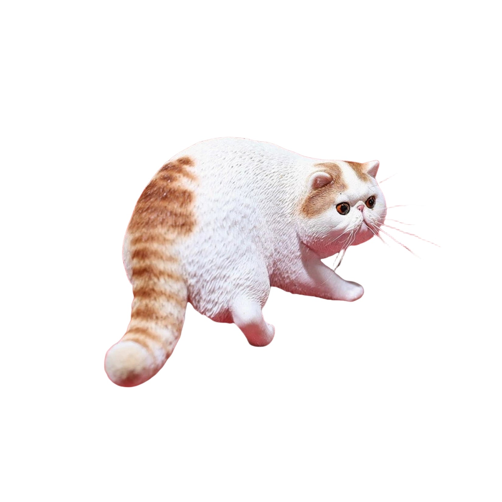 1/6 Exotic Shorthair Figure