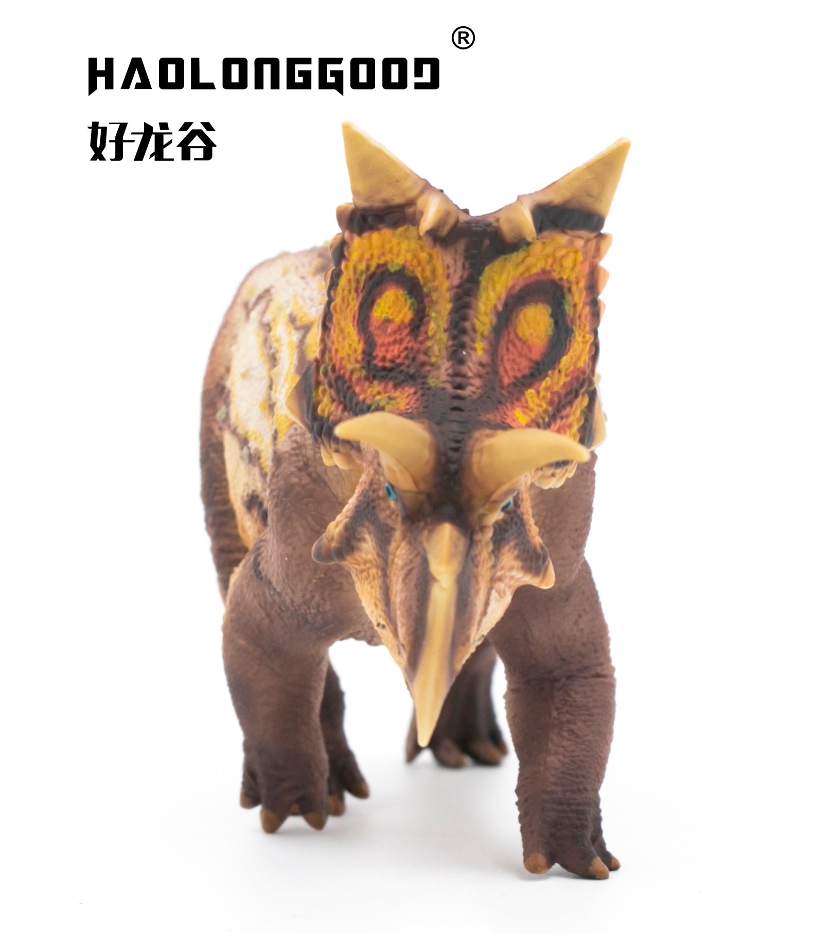 HAOLONGGOOD 1:35 Scale Xenoceratops Model