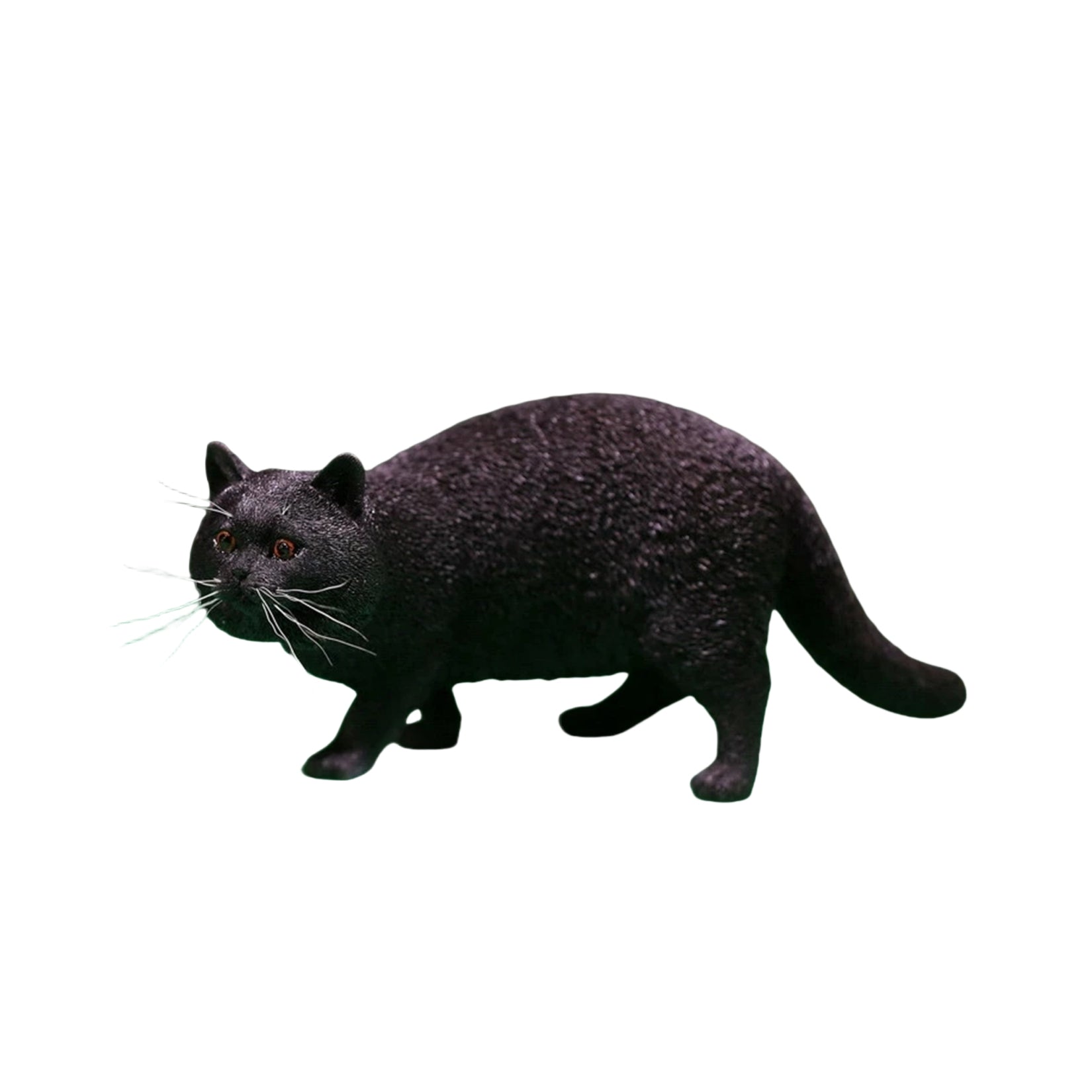 1/6 British Shorthair Figure