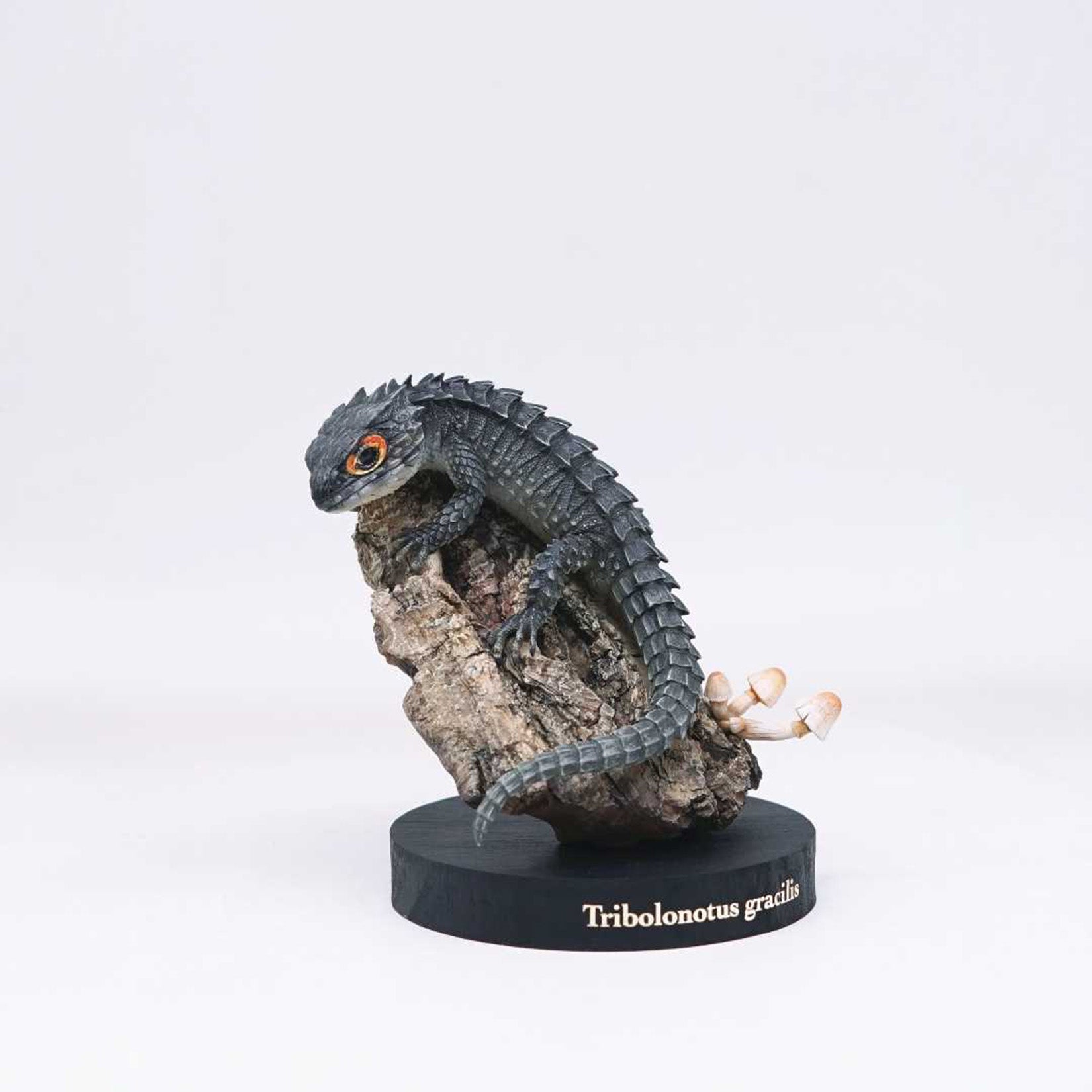 Schildkröten-Serie Tiermodell