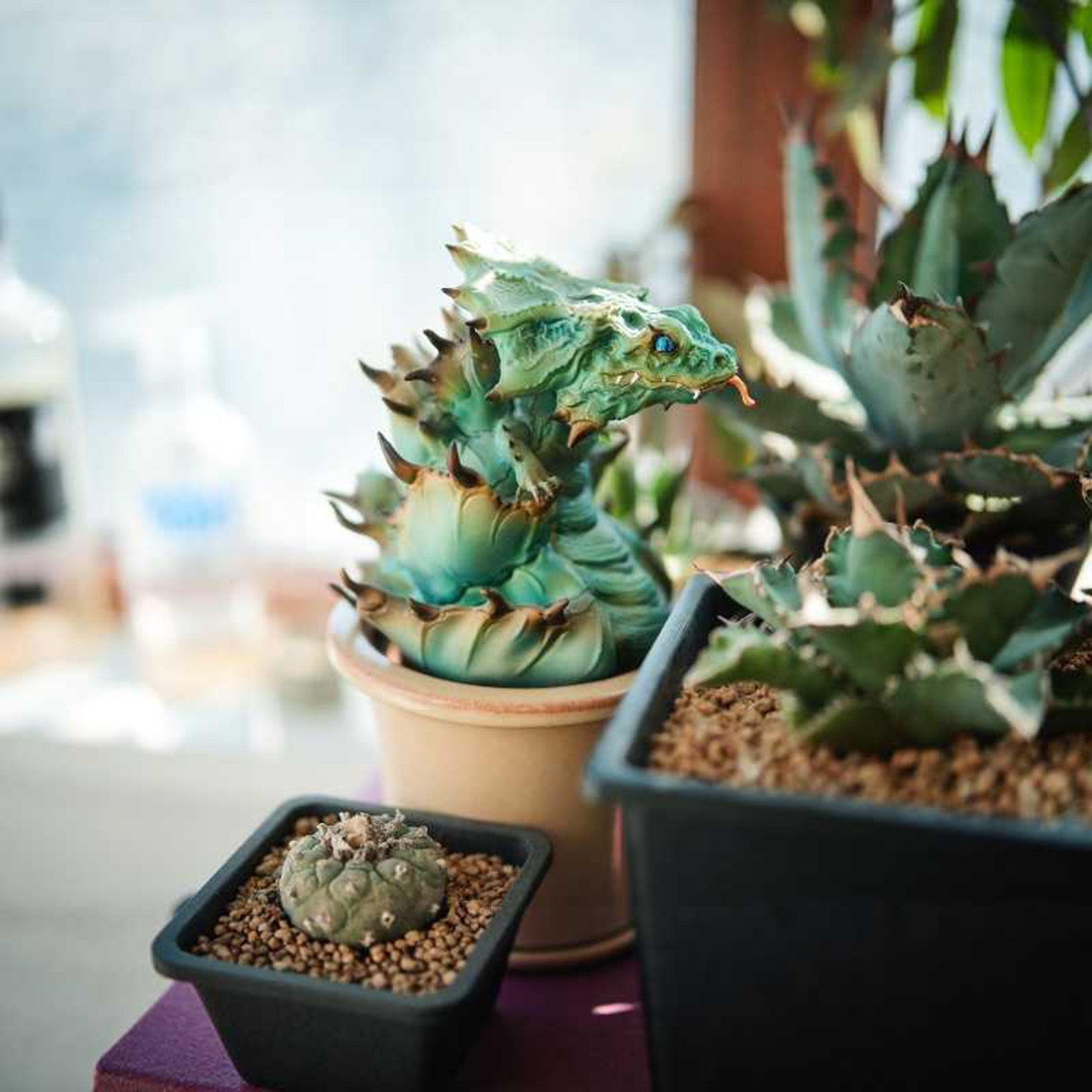 Blue Whale Skink Model