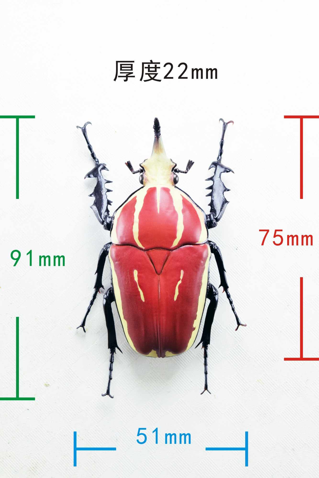 Wunderschöne Chemiepuppe im Maßstab 1:6