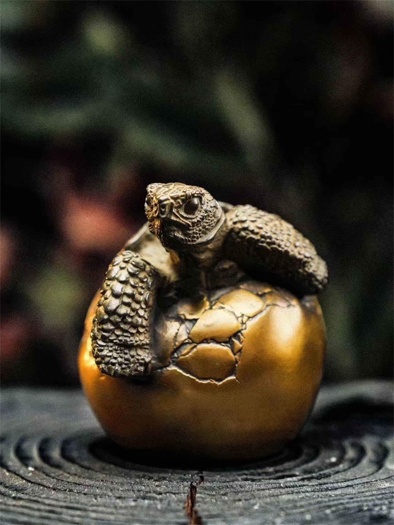 Schildkröten-Serie Tiermodell