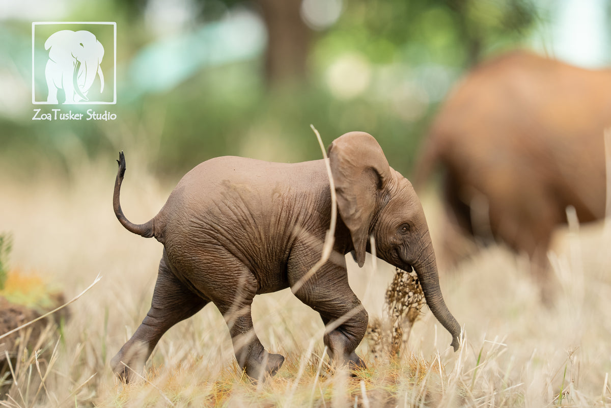 ZoaTusker Studio African Elephant Queen Dida Model