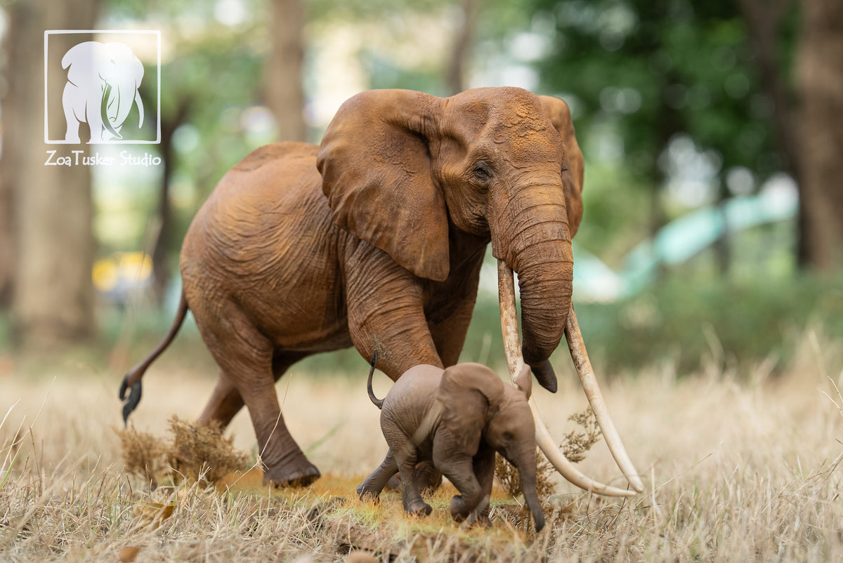 ZoaTusker Studio African Elephant Queen Dida Model